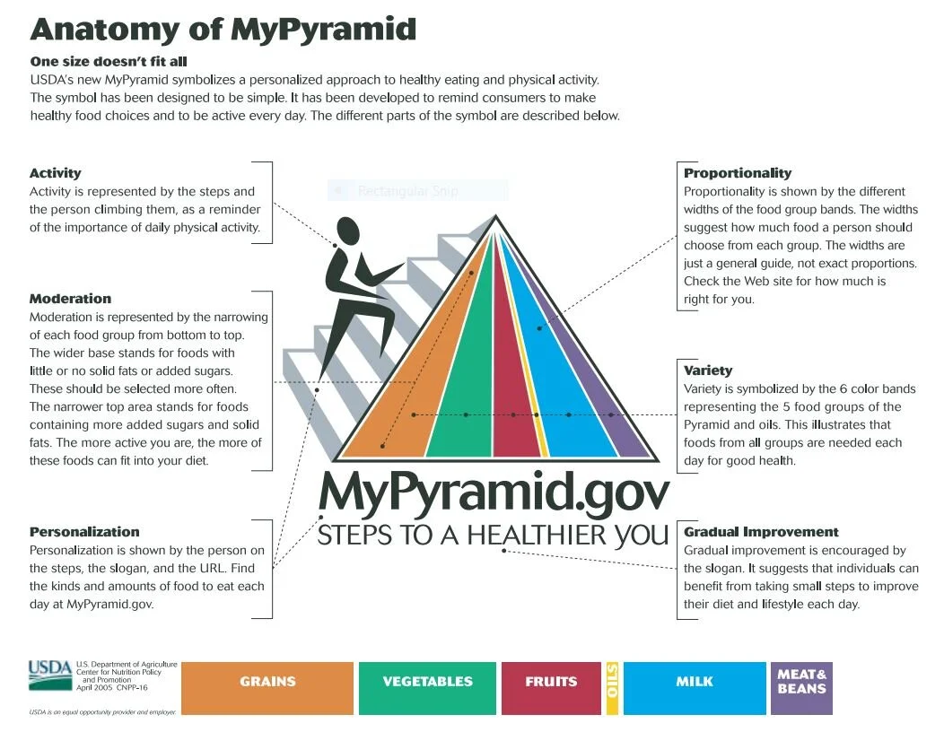 MyPyramid Anatomy.JPG