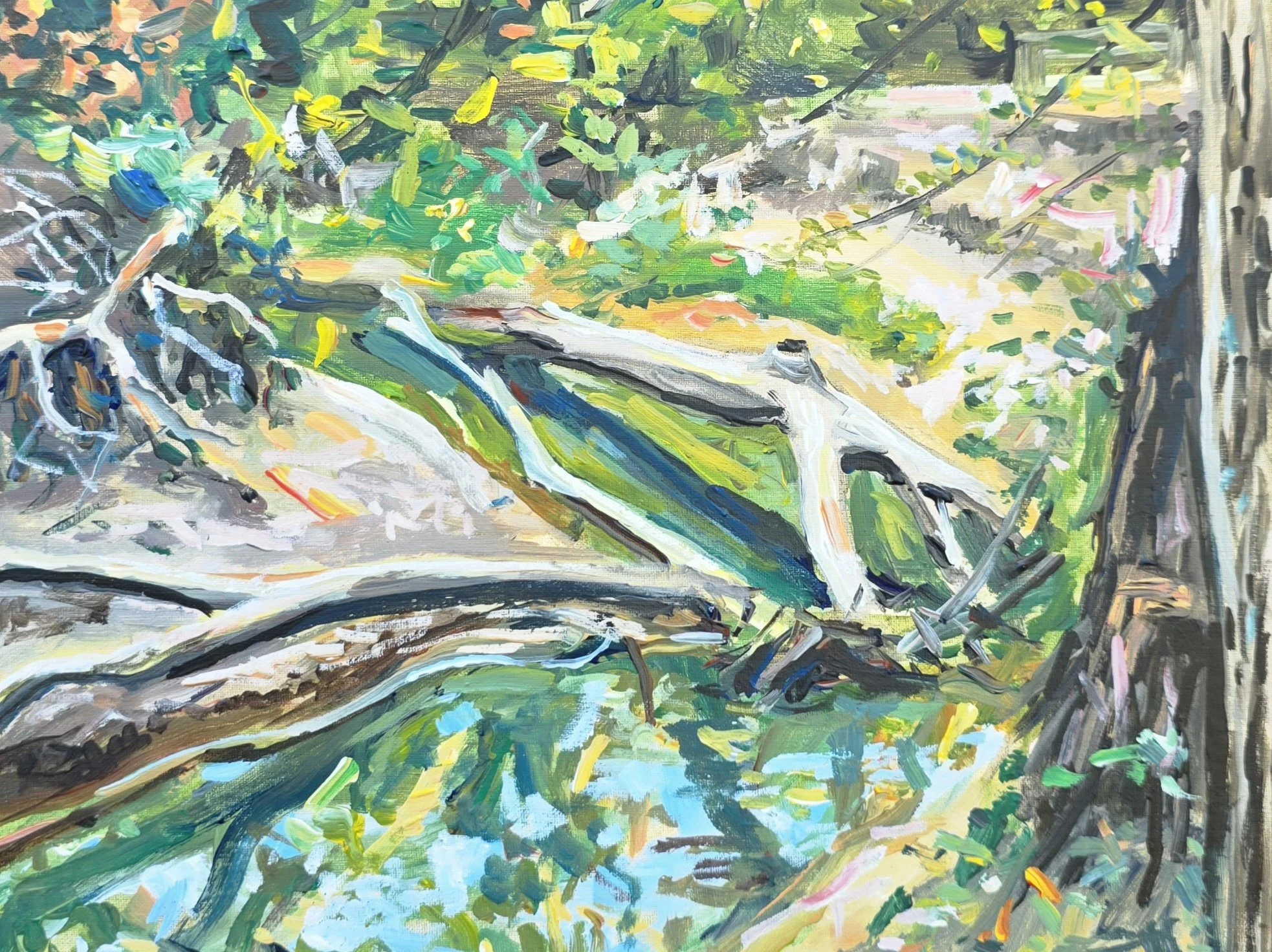 Oakpoint, Rowlett Creek 1