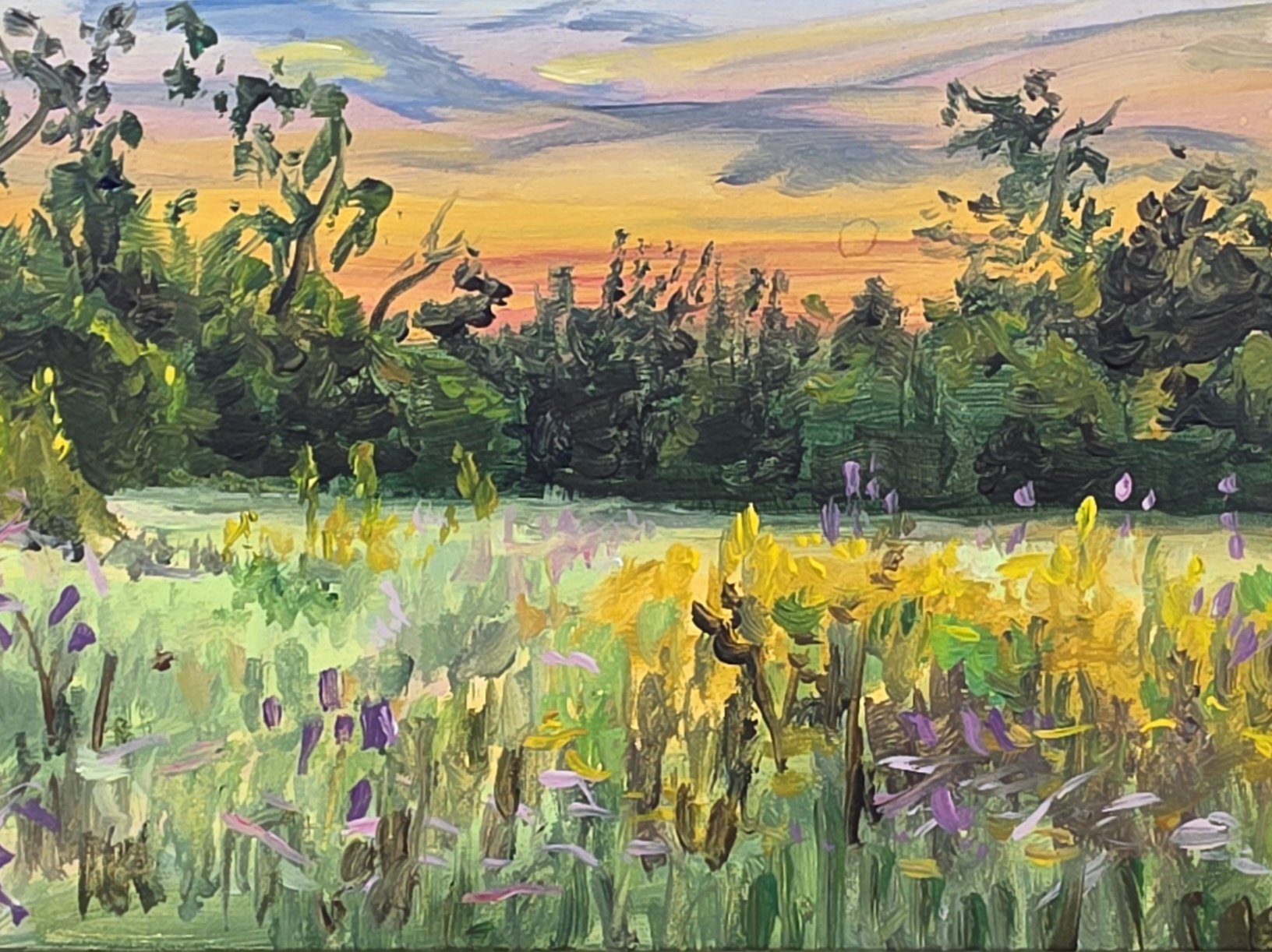 Oak Point Park and Preserve