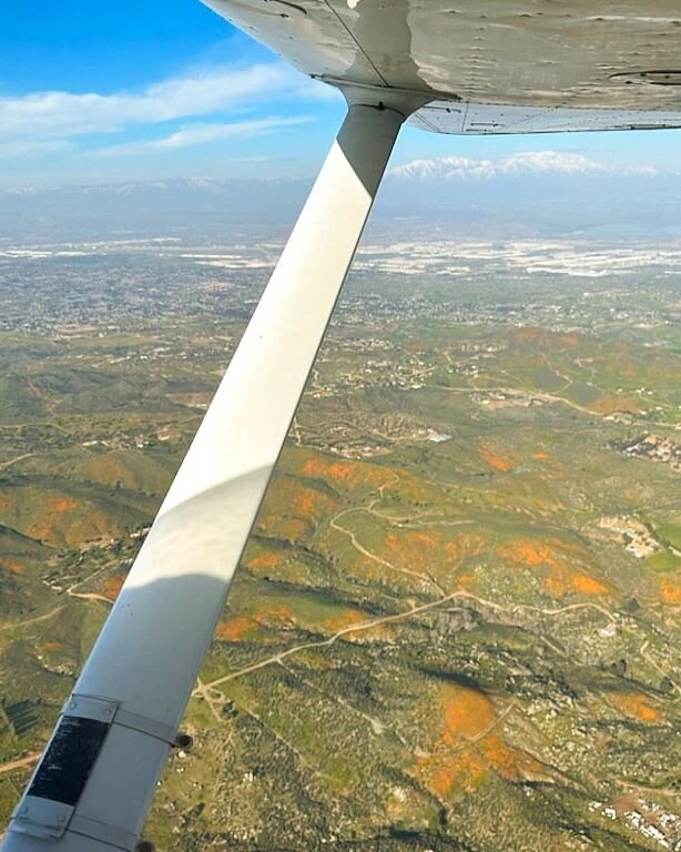 With all the rain we have had, We are hoping to see more poppies on our flights when the sky clears. 🏵

#californiaaviationservices  #flightschool #learntofly #asel #ppl #cessna172 #cessna #cessna150 #cessna172rg #riversidemunicipalairport #kral #ai