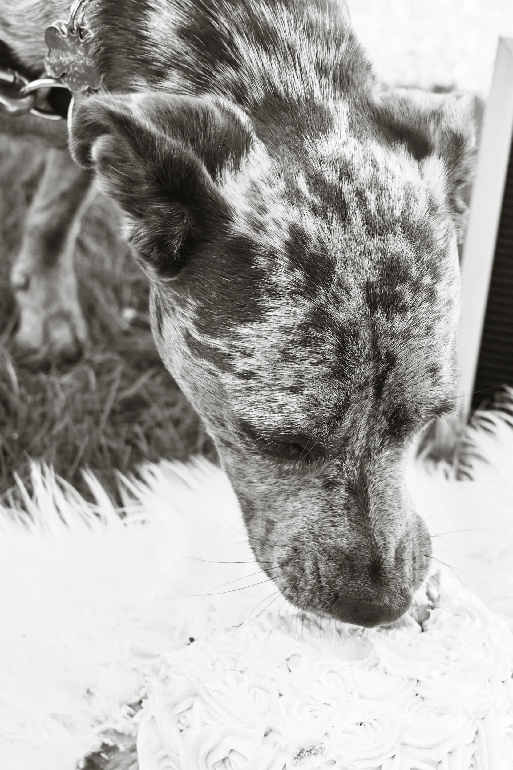 DSC_4418.jpeg