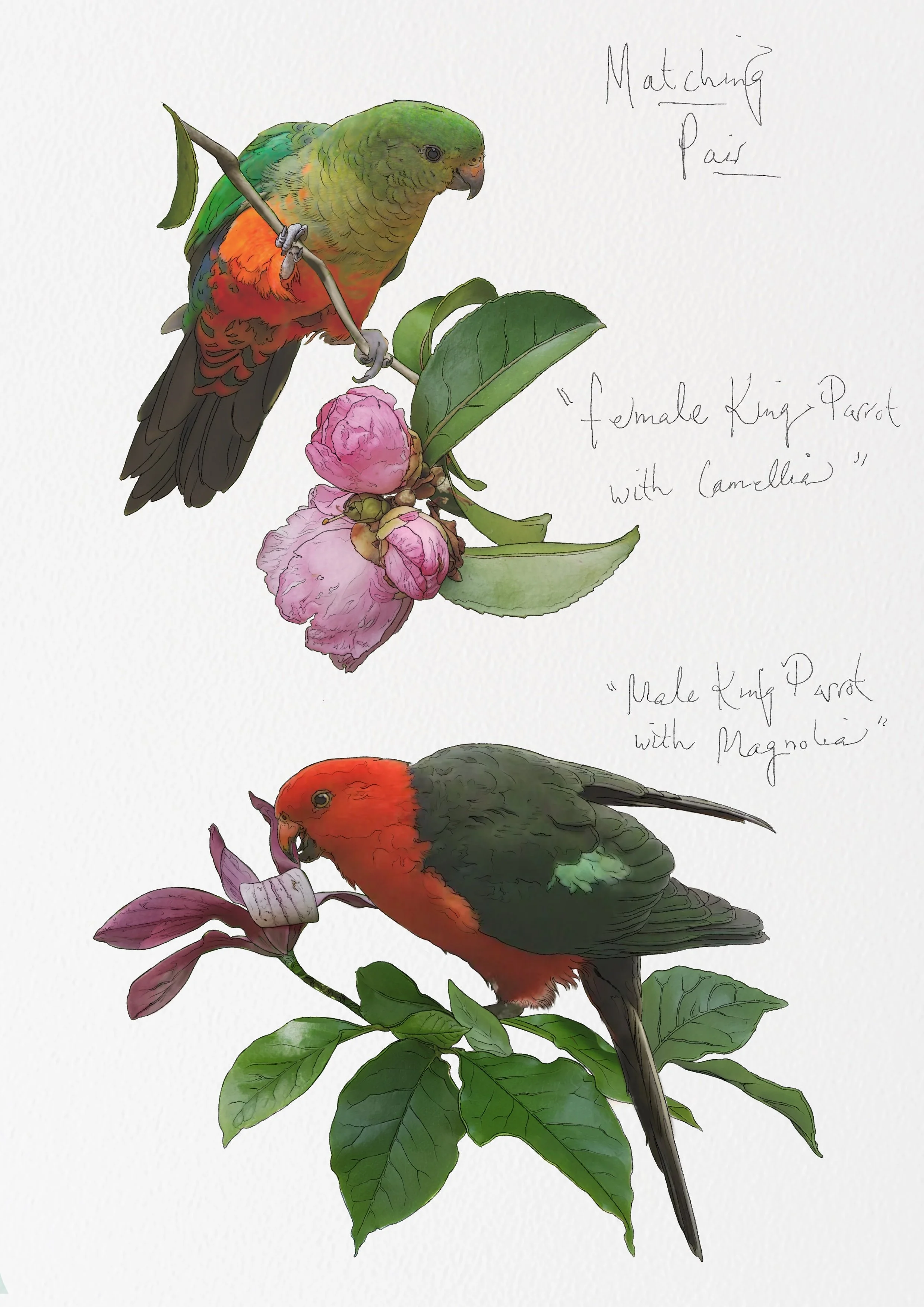 Untitled_Artwork 13.jpg