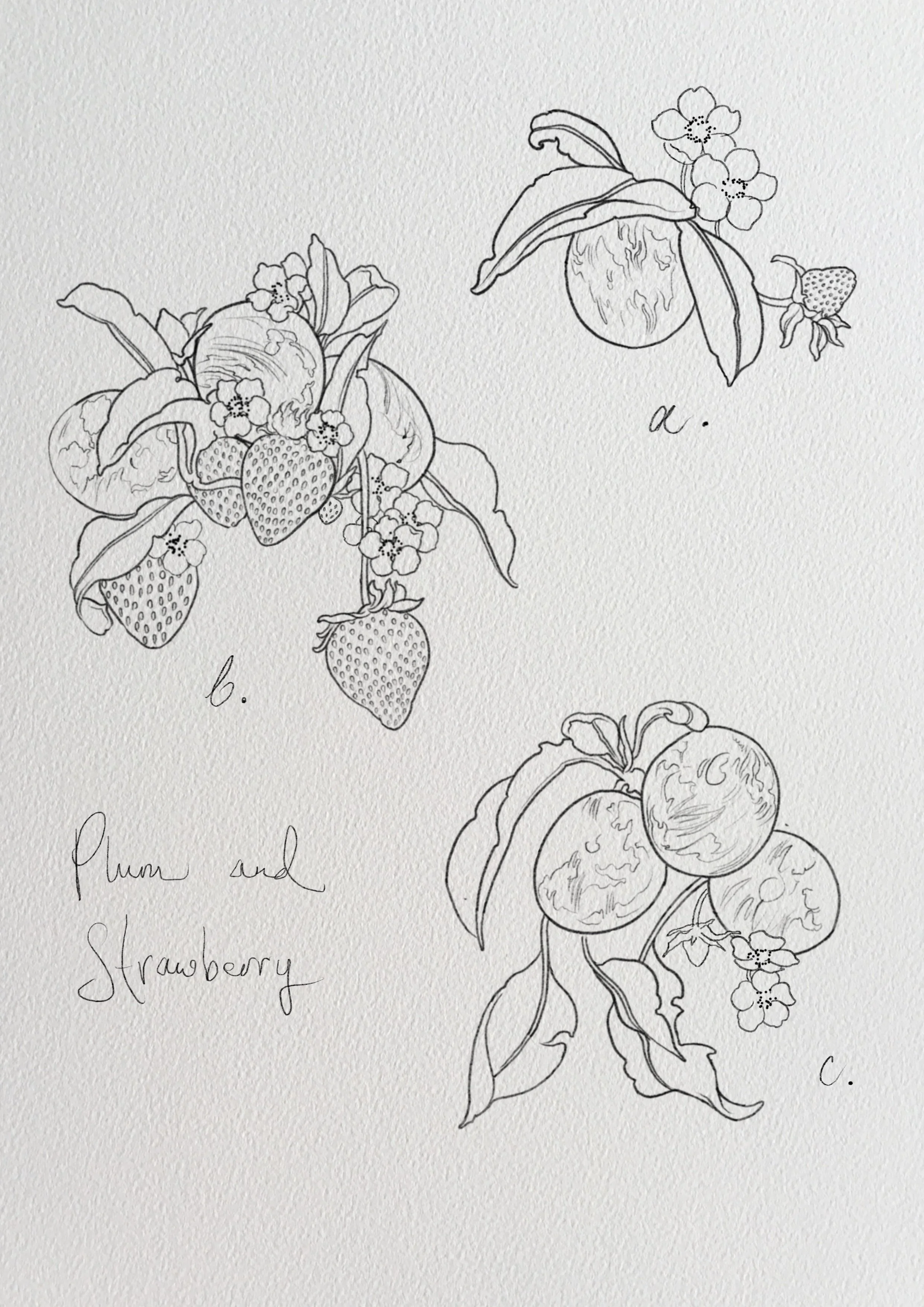 Untitled_Artwork 5.jpg