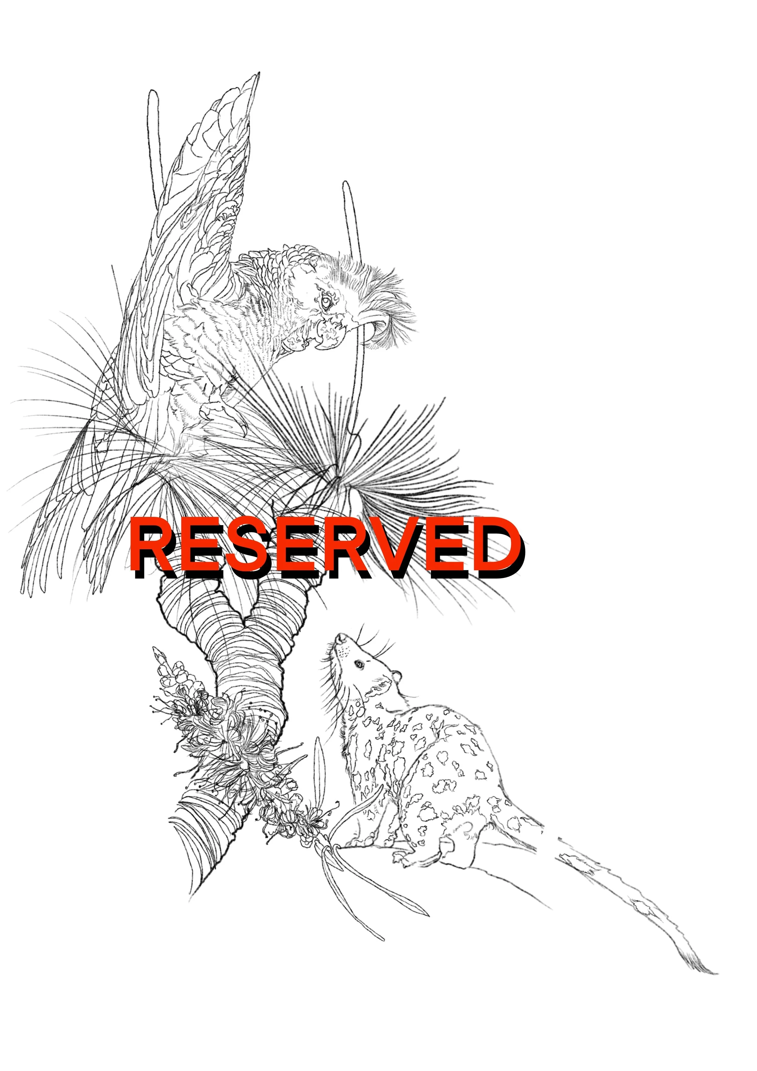 Untitled_Artwork 7.jpg