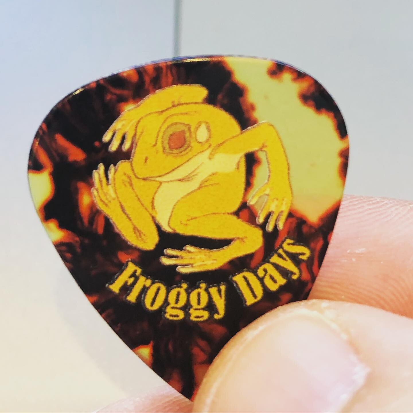 I&rsquo;m a little sad that I didn&rsquo;t try these picks sooner. Thank you @fropomolo for such a sweet gift. These picks rule! #newpicks #froggydays #kwawesome #wilmotstrongertogether #morepracticeneeded