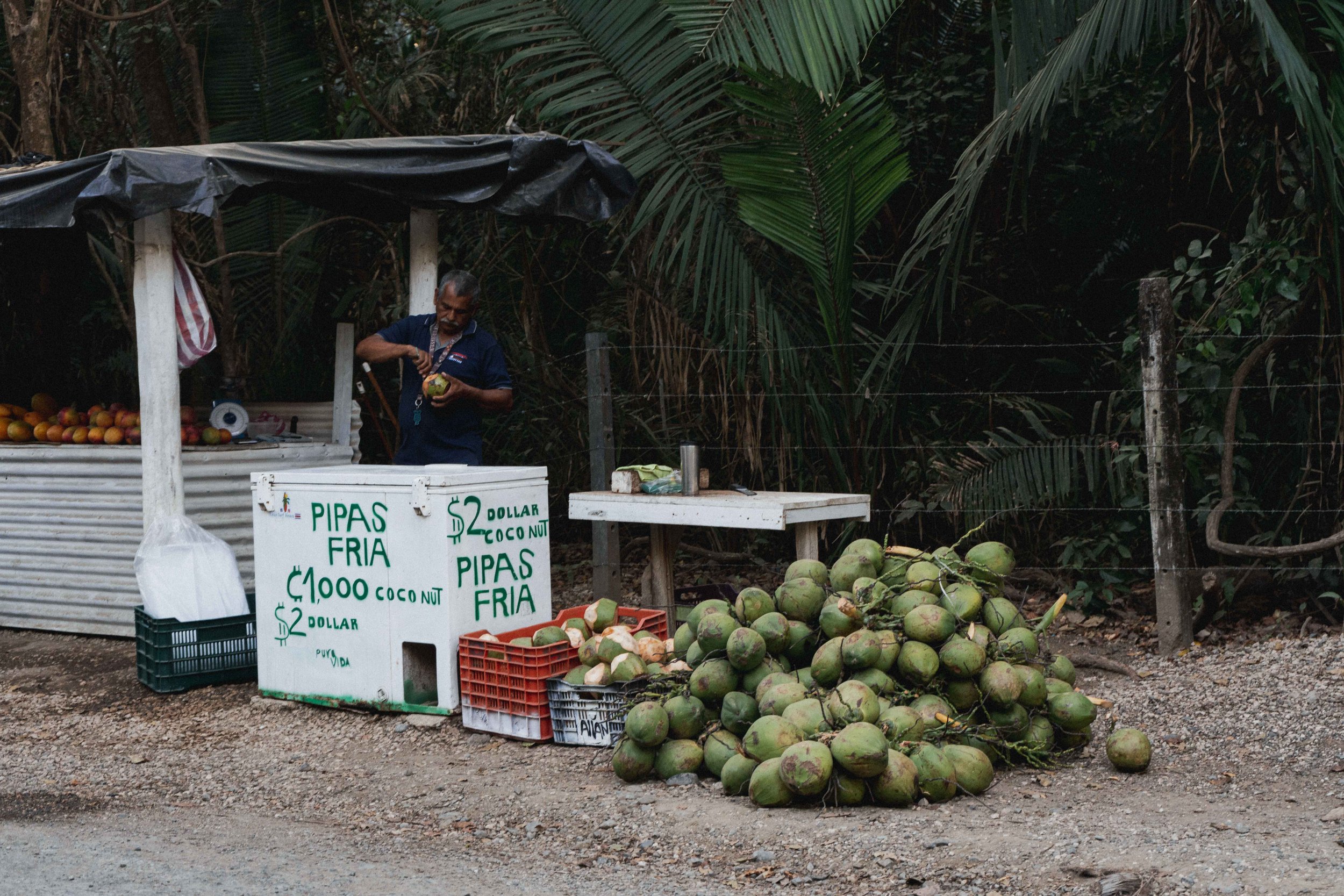 coconutman.jpg