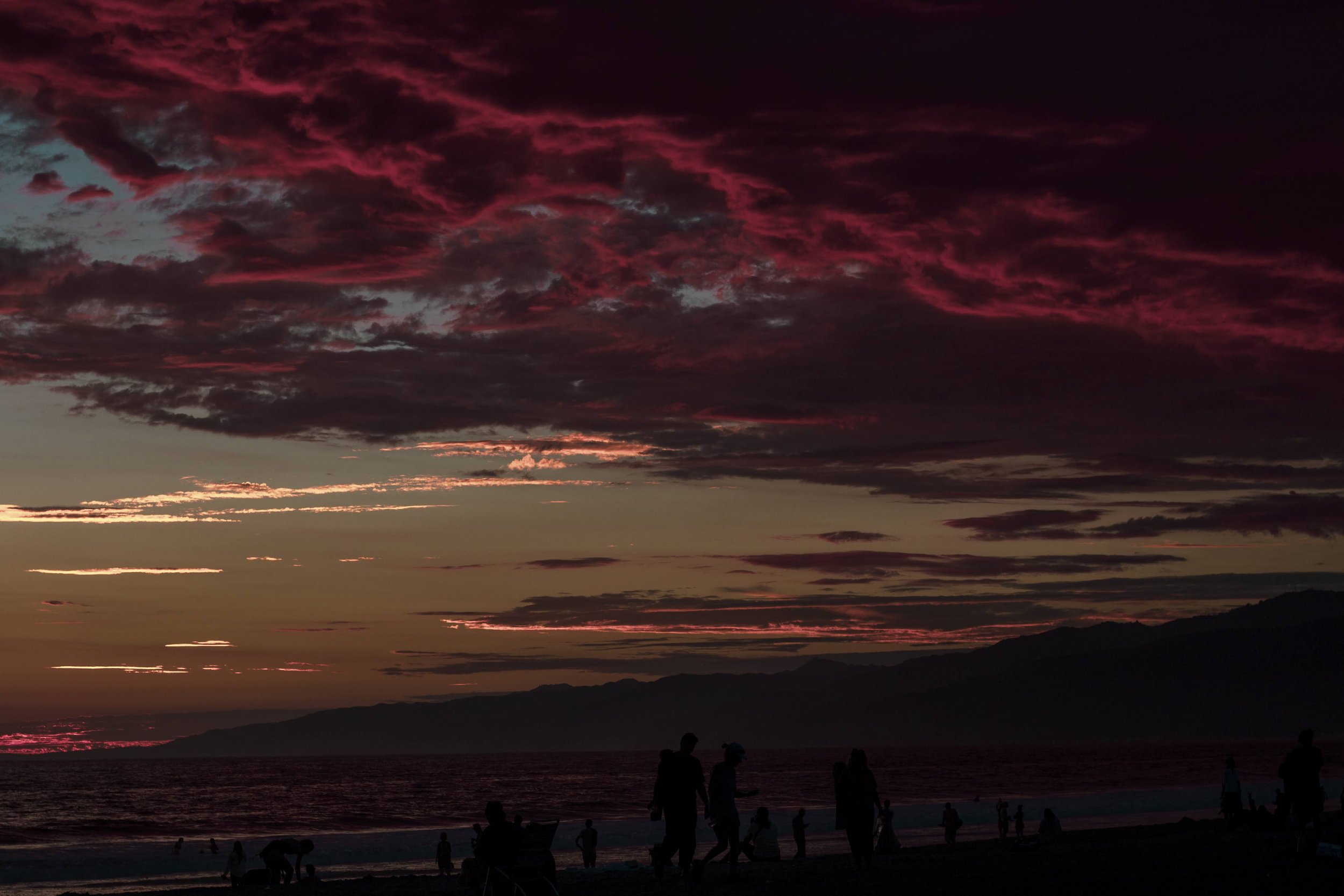SuperBloom-19.jpg