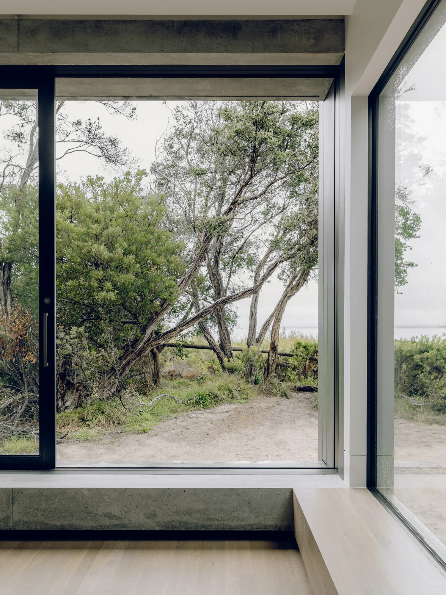 image-asset (1).jpeg