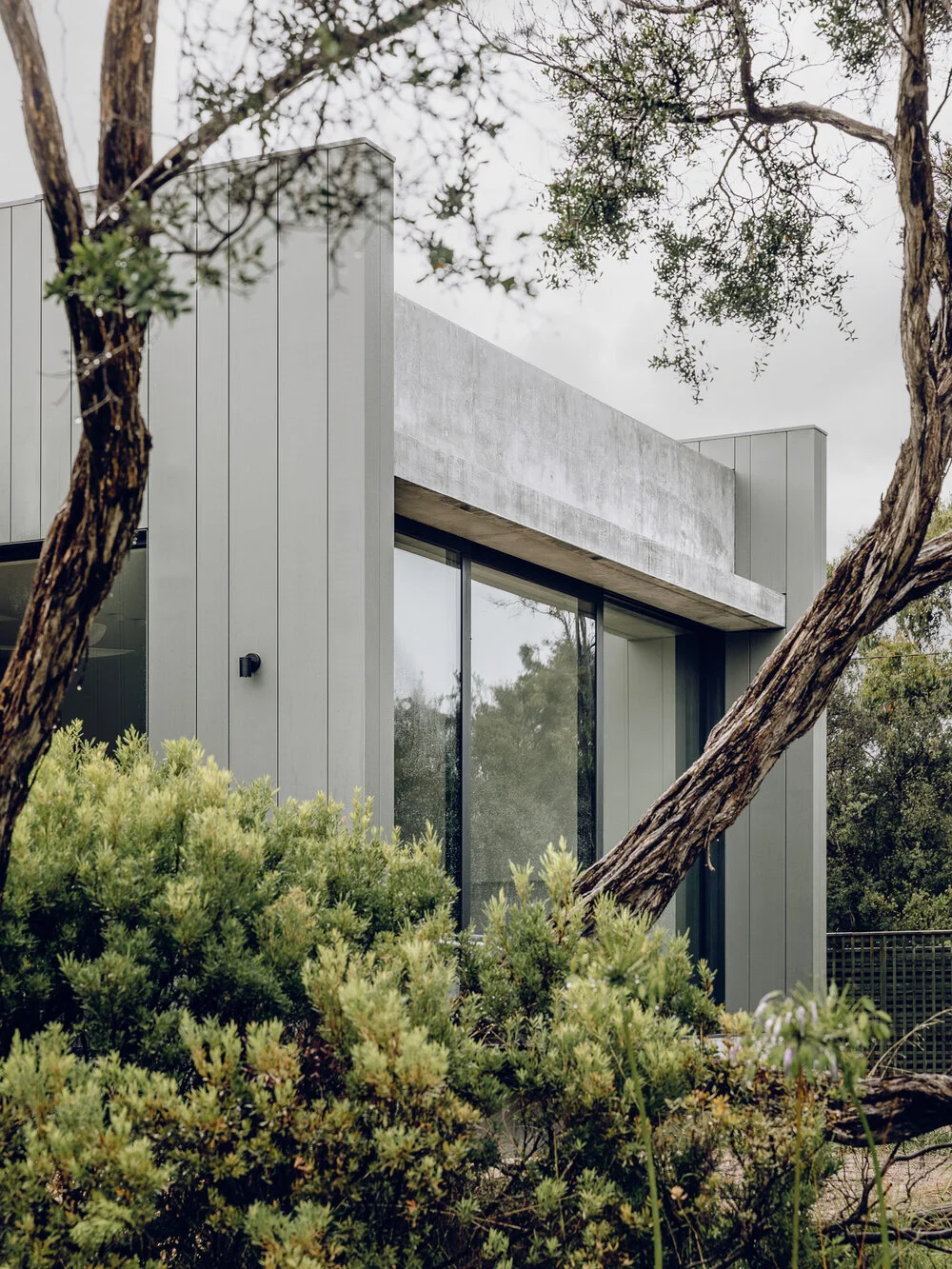 image-asset (3).jpeg