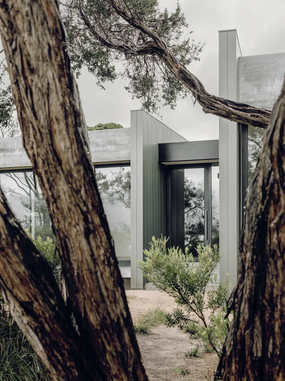 image-asset (4).jpeg