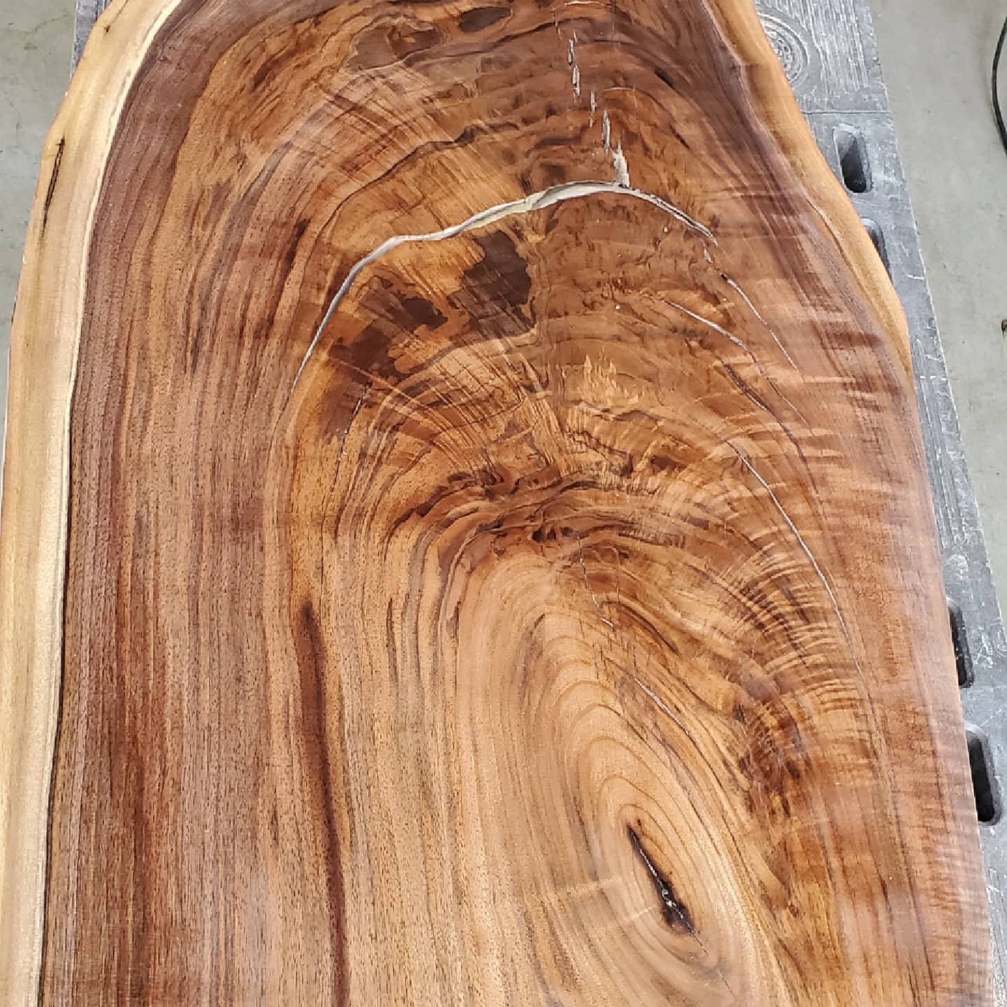 Its Wednesday so that means its time to learn about a new wood! Today its everyone's favorite... Oregon Black Walnut or in Latin juglans hindsii x nigra

Oregon Black Walnut is hybrid of Eastern Black Walnut and Claro Walnut. Created in the 1800s to 