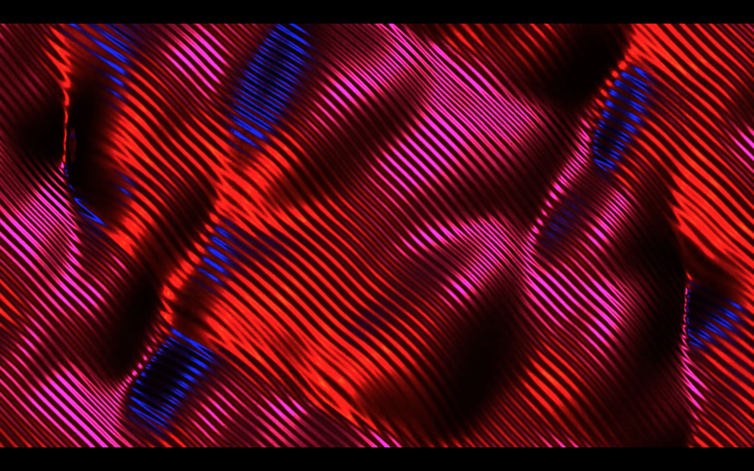 Screen Shot 2020-08-31 at 2.45.33 PM.png