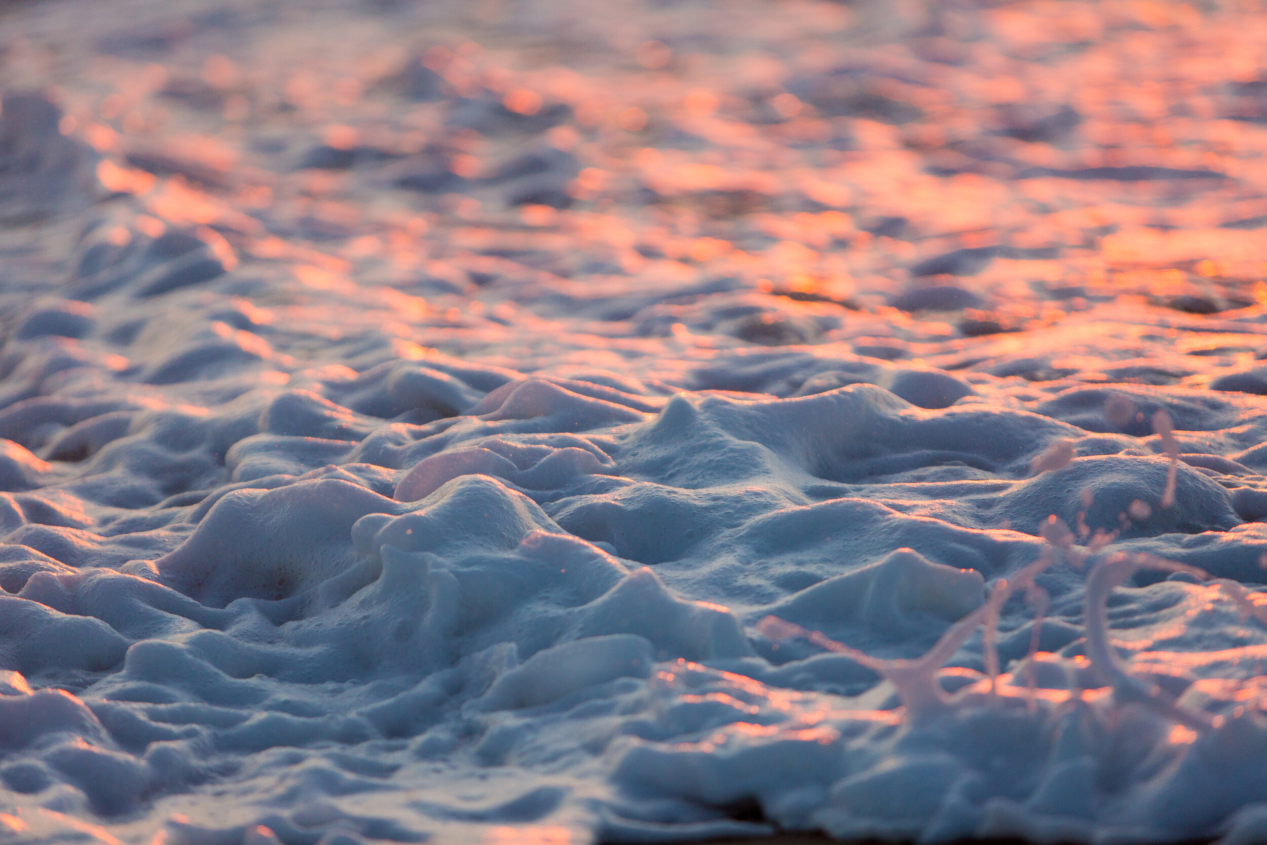 Dusky Foam - Bay Head, NJ