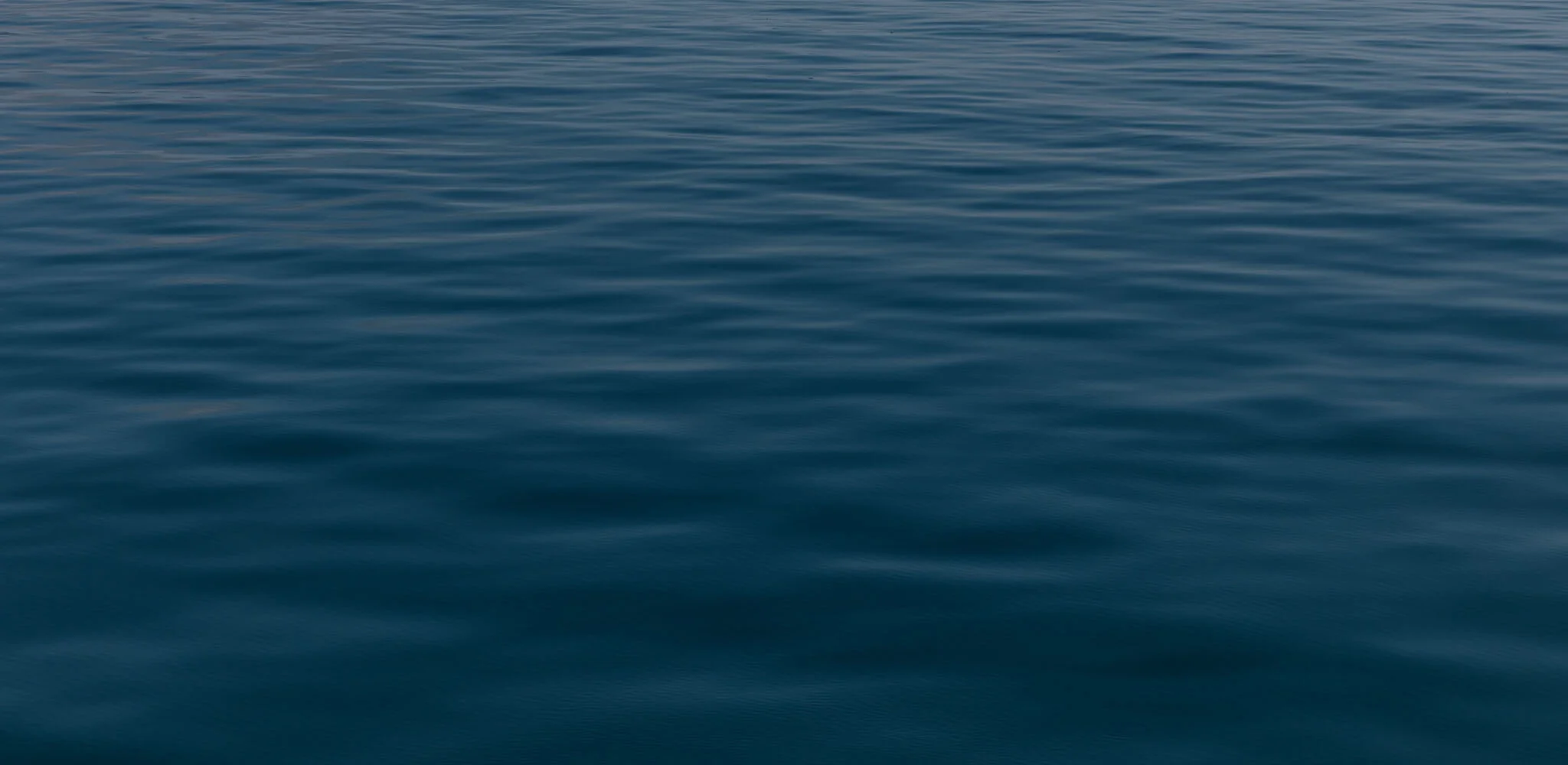 sea texture.jpg