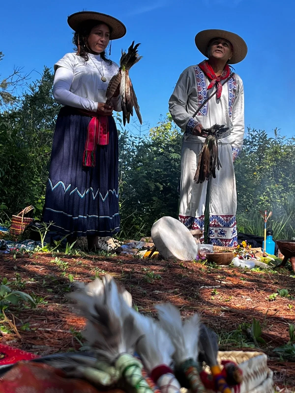 WhatsApp Image 2026-01-27 at 11.46.09.jpeg