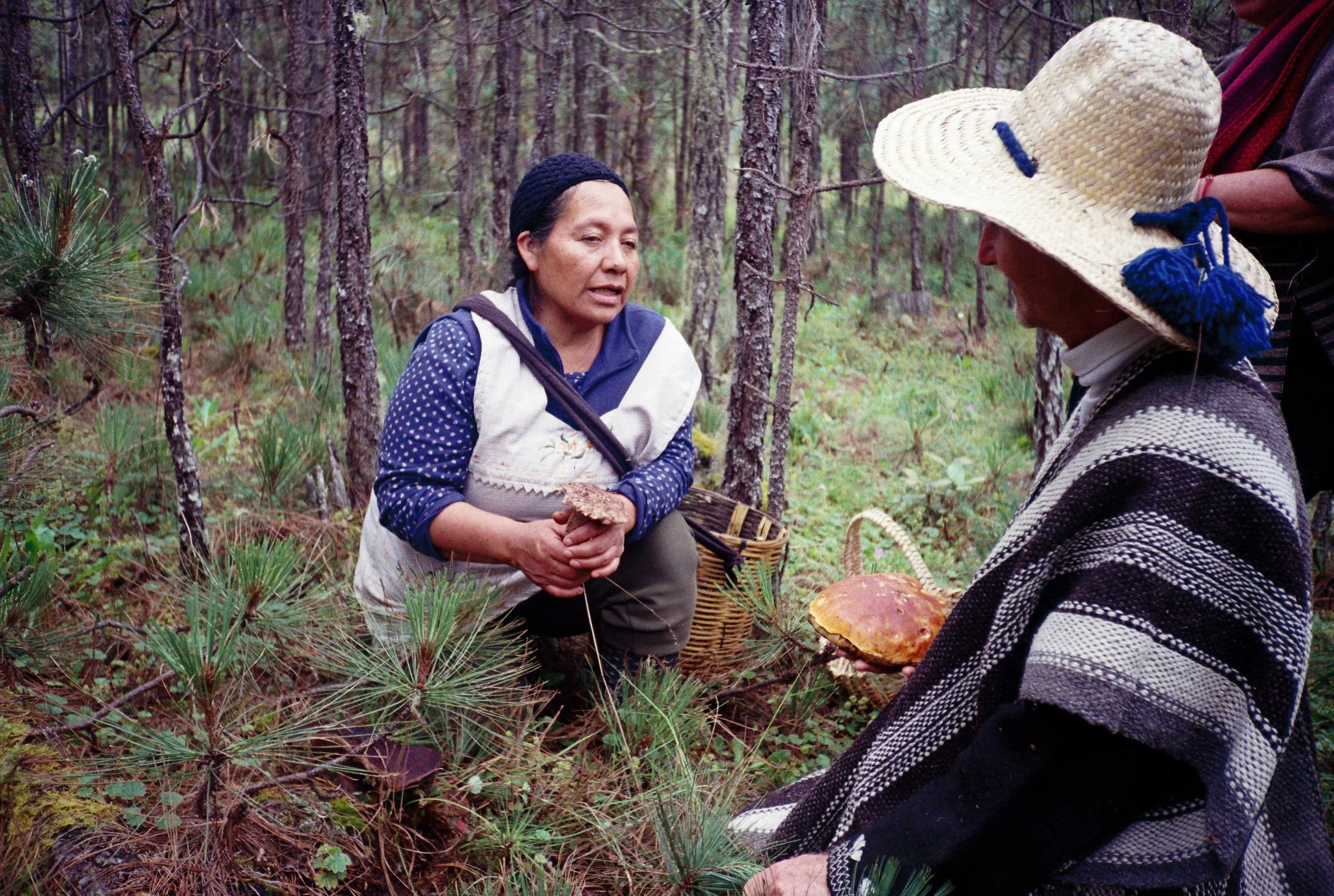 WhatsApp Image 2026-01-27 at 11.32.22.jpeg