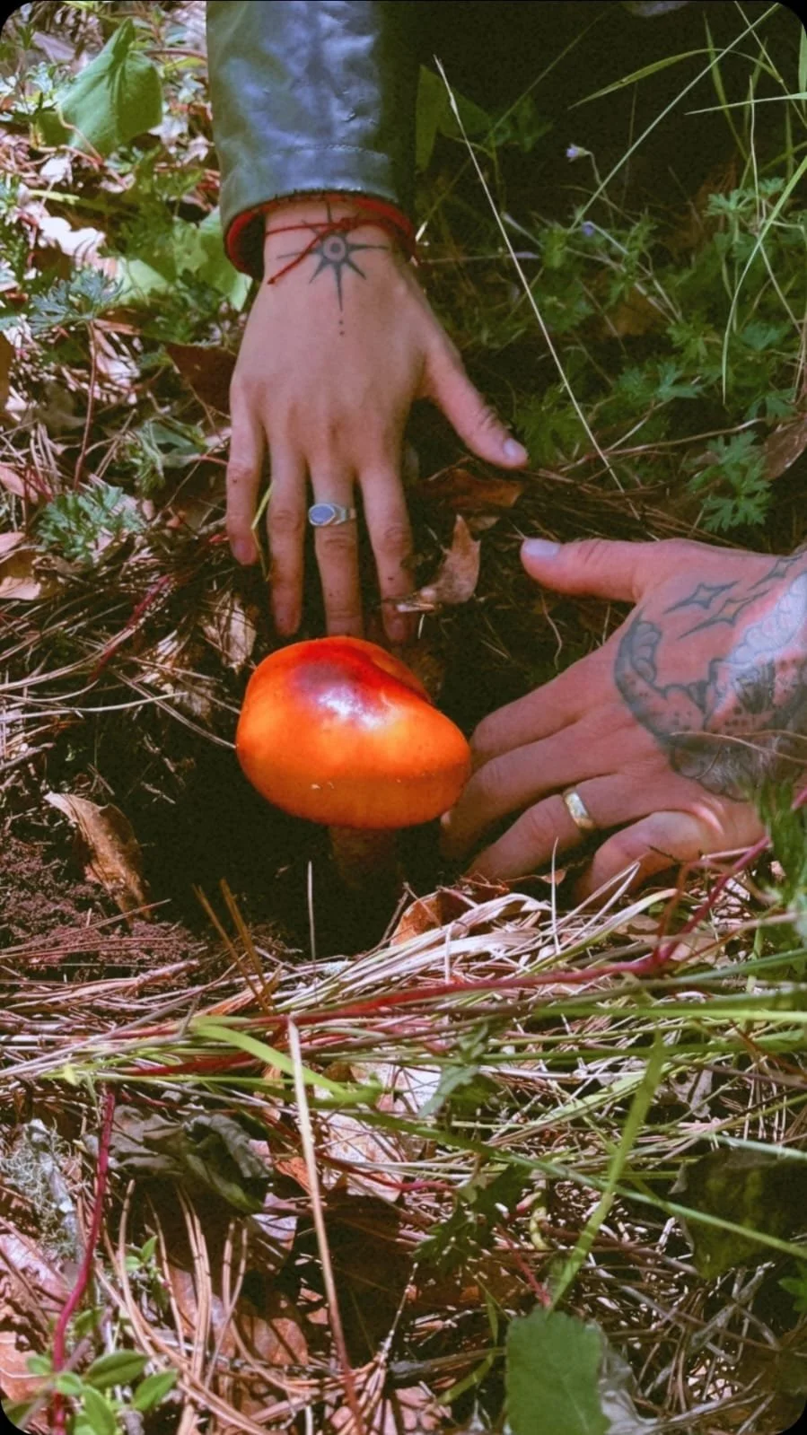 WhatsApp Image 2026-01-27 at 11.46.11 (1).jpeg