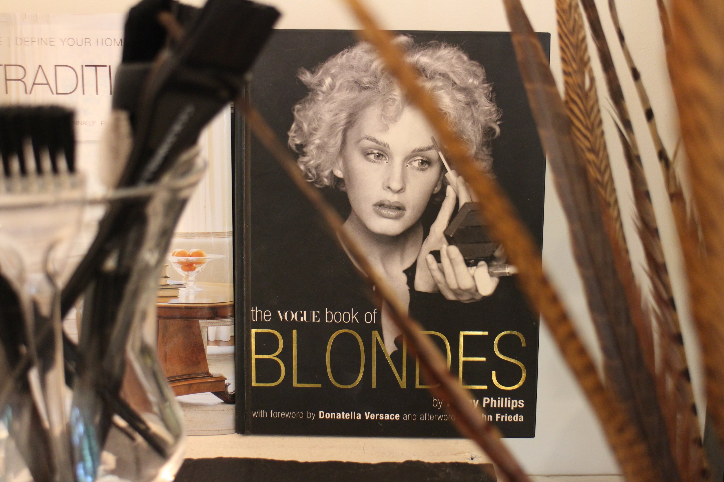 Iliana Salon Picks 00003.JPG