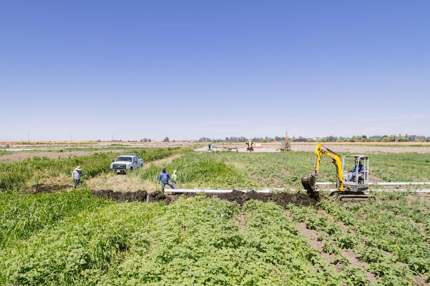 Call Central Irrigation today and let&rsquo;s get growing! 📞 #CentralIrrigation #IrrigationSolutions