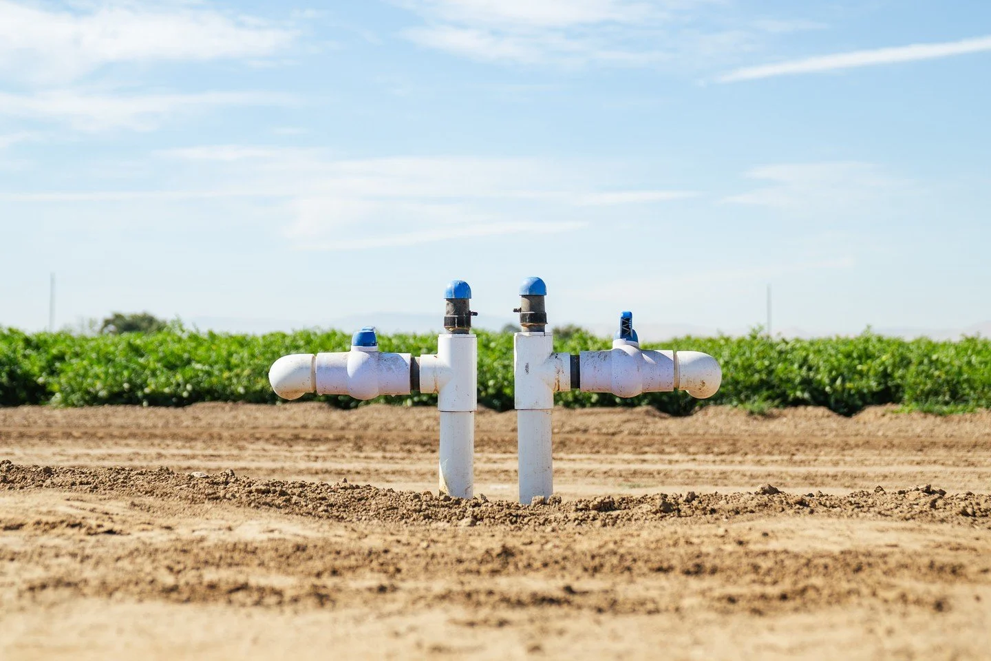 Whether it&rsquo;s peak season or post-harvest&mdash;our standard never slips.