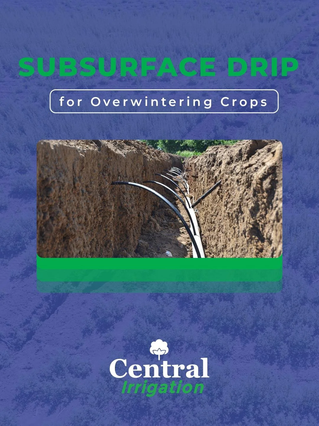Injecting your drip tape in the late Fall is ideal for overall injection conditions and project installation timing. Call your local rep to see how we can help you stay ahead of the game.