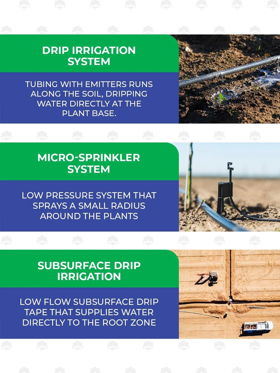 The right system makes all the difference.

 #IrrigationBasics #CentralIrrigation #AgEfficiency