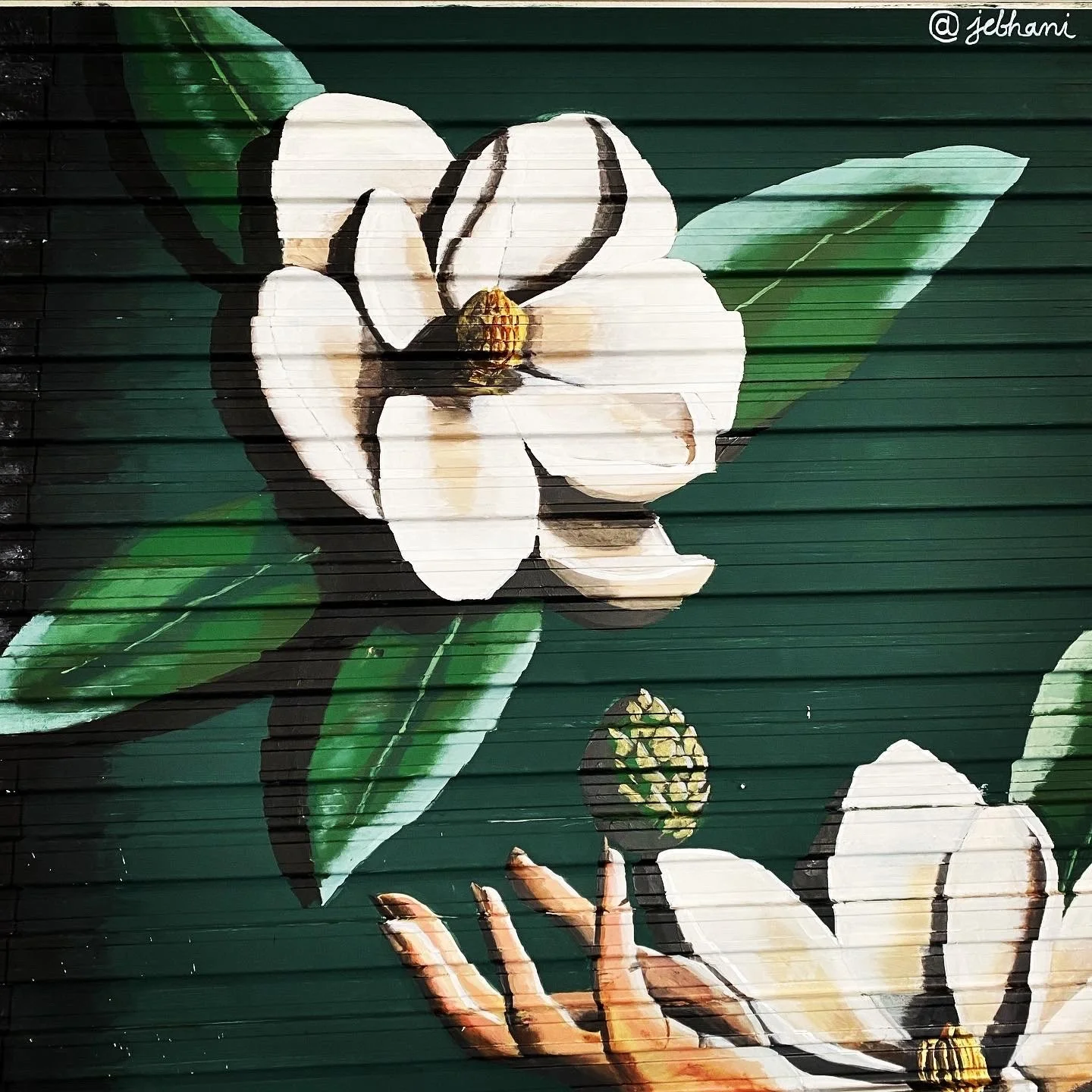 Magnolia hop 2.png