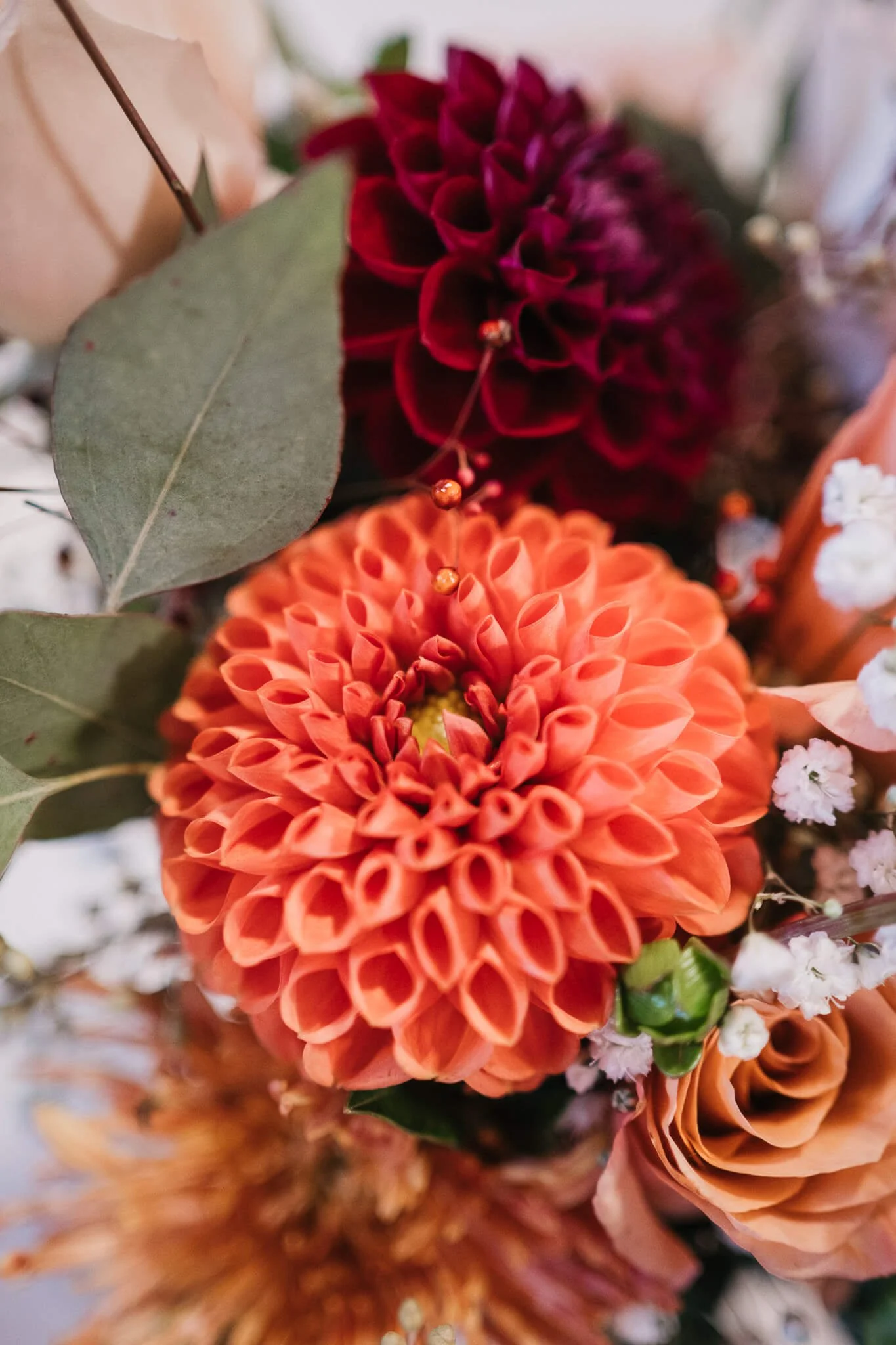 Sep 27 20243-09 PM_16.JPG