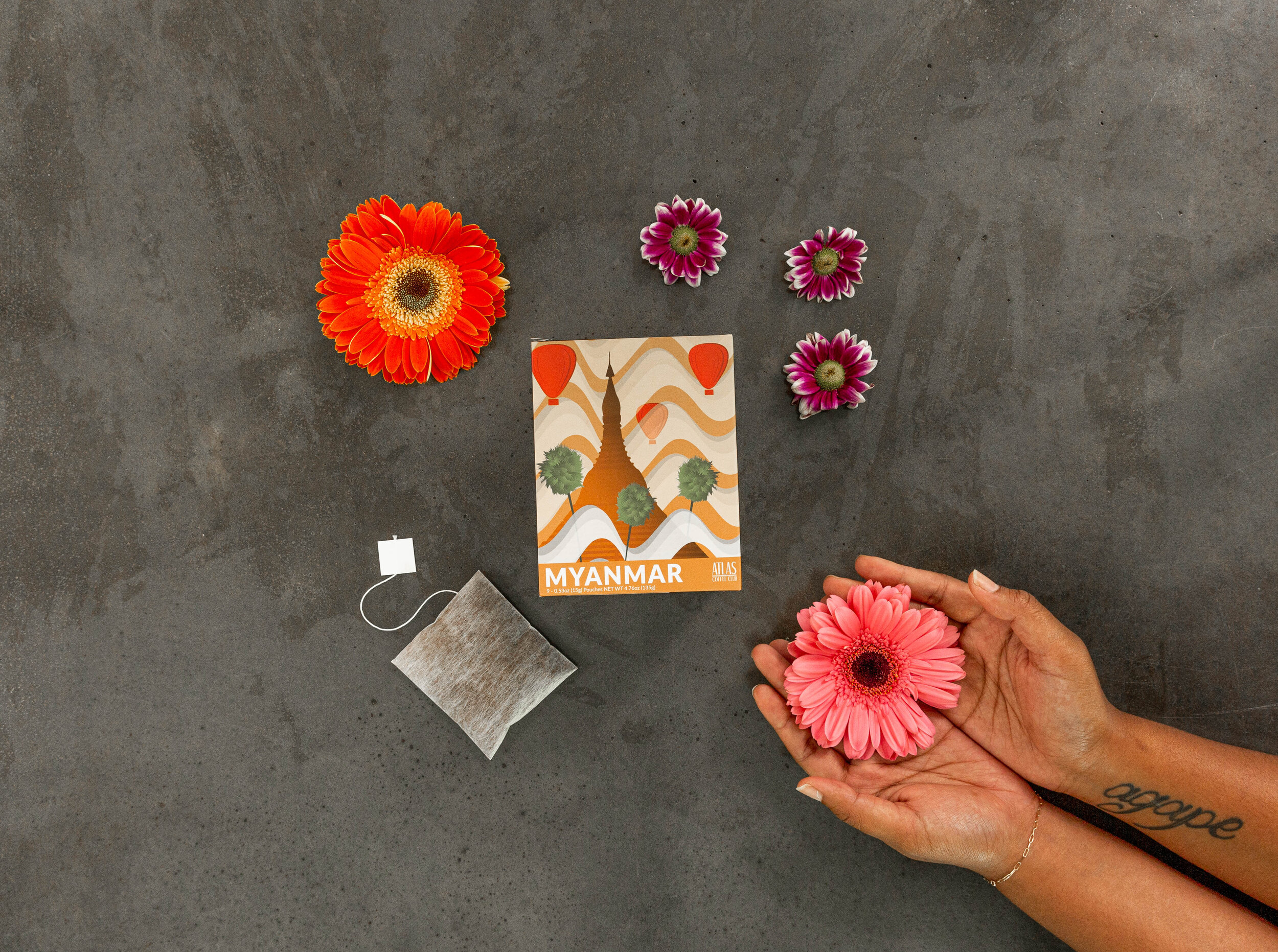 photo: Dorothy Bennett