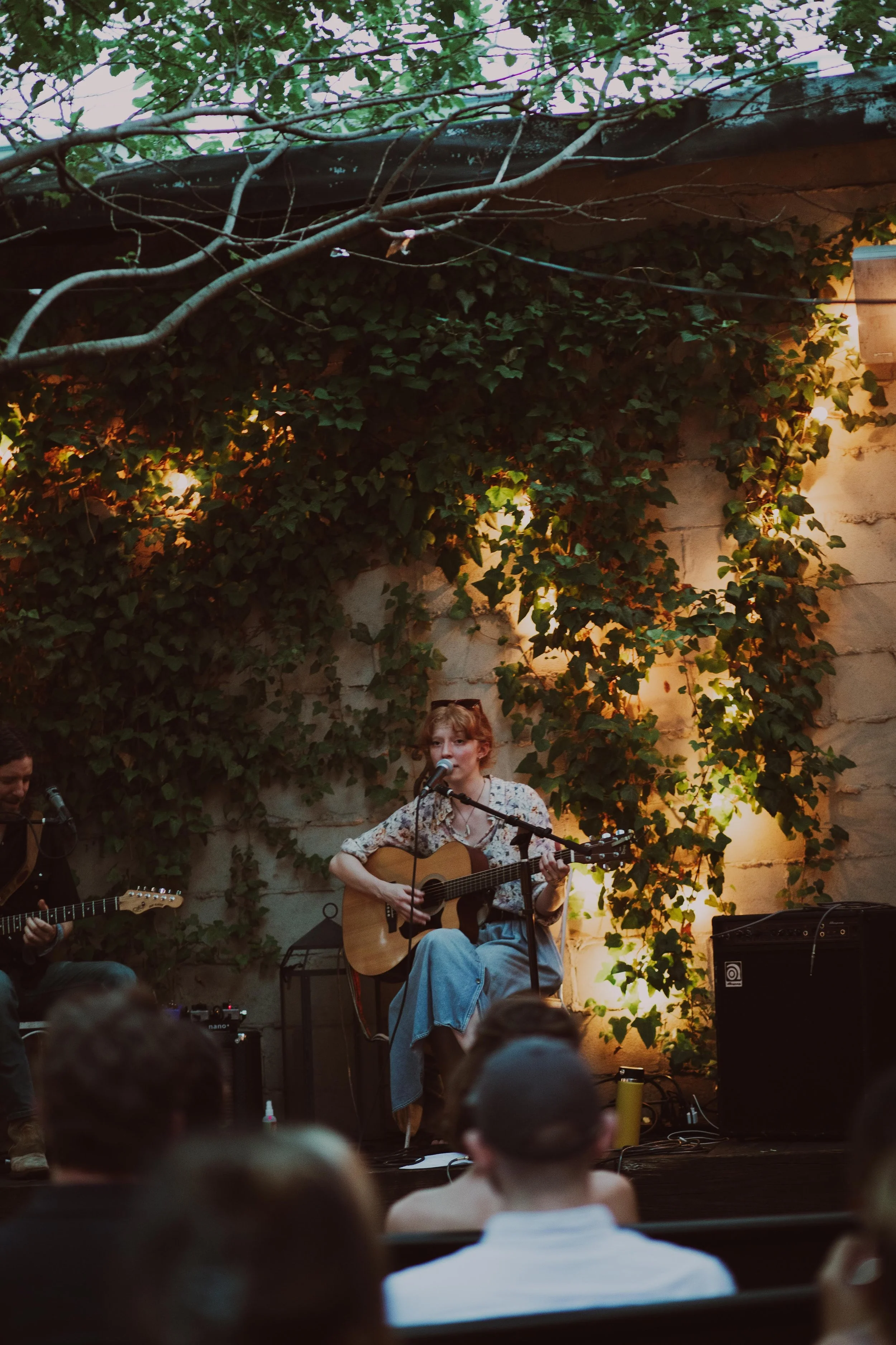 A woman playing an acoustic guitar and singing into a microphone during a live outdoor performance at night, with a background of green ivy and warm lighting.