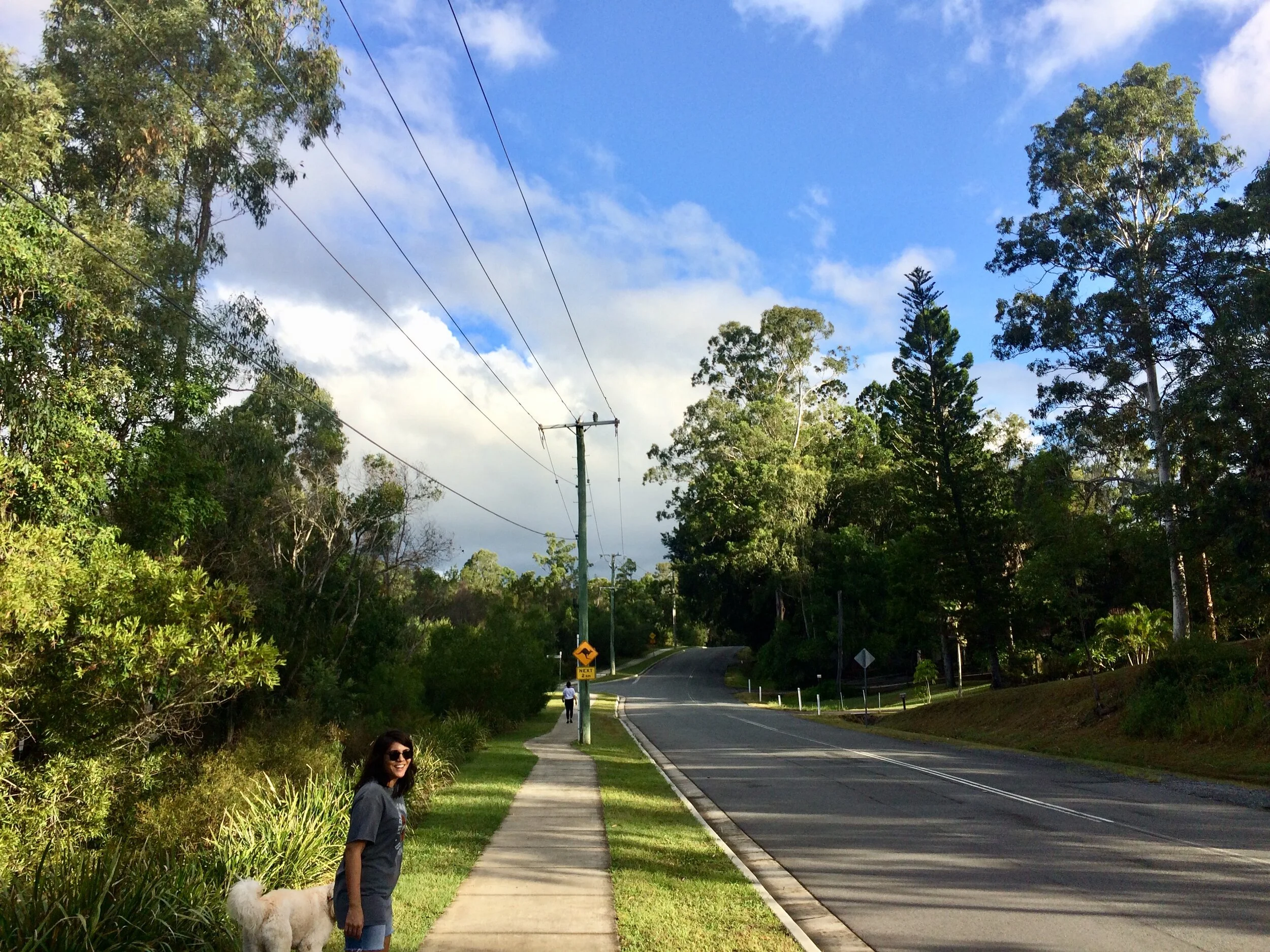 Photo 29-3-20, 4 24 58 pm.jpg