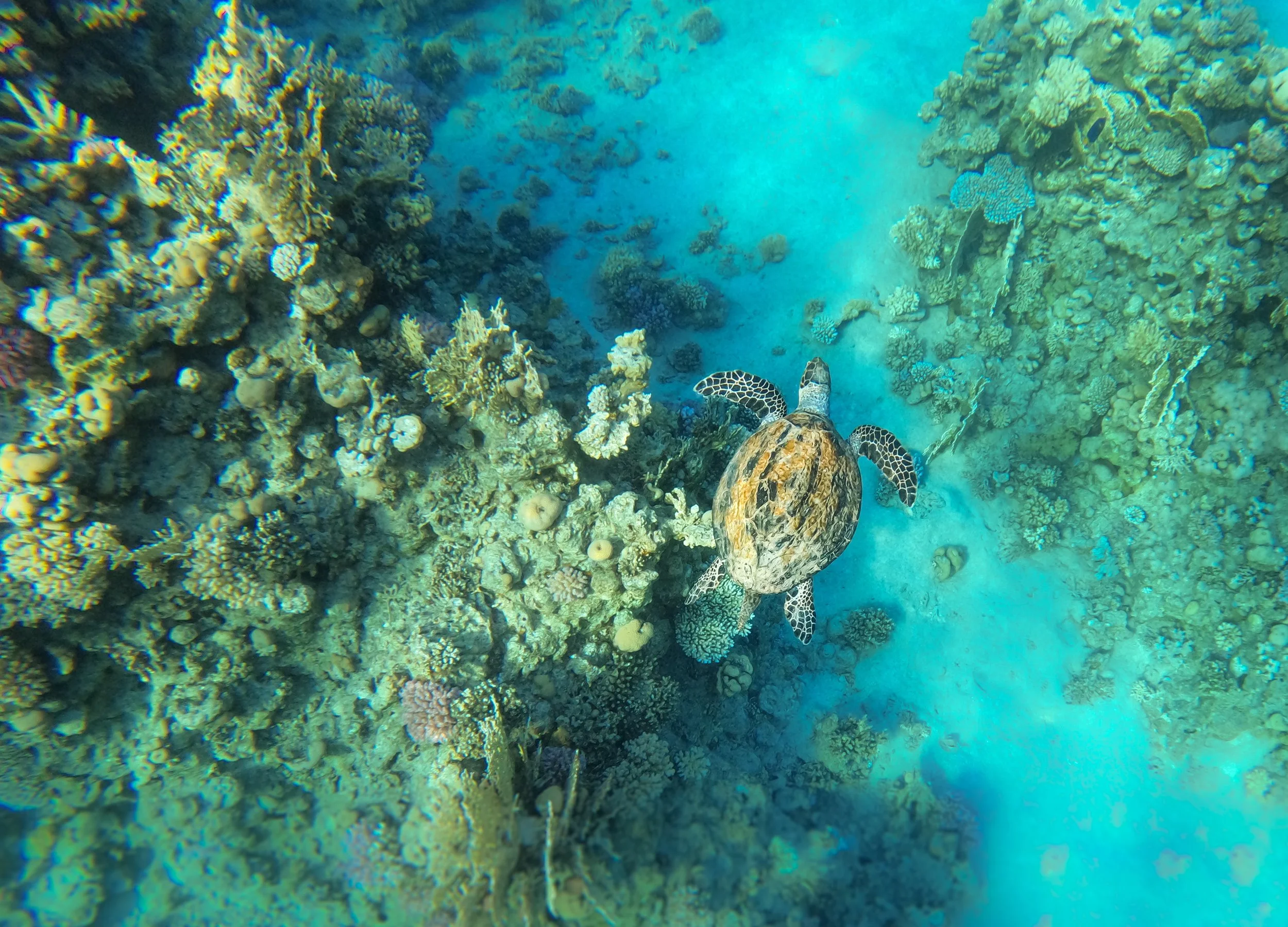 GOPR0671.JPG