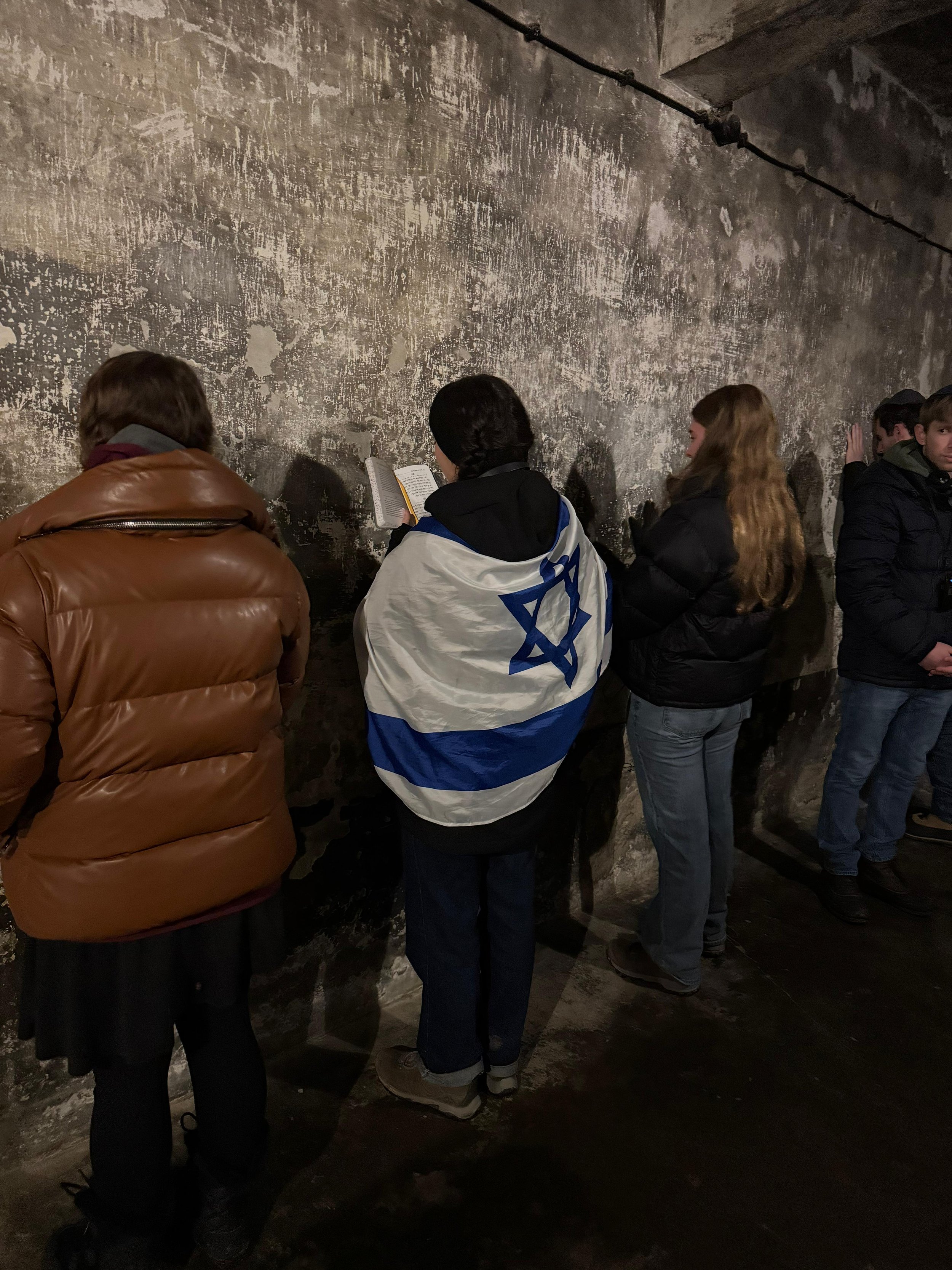 WhatsApp Image 2025-11-06 at 05.49.01.jpeg