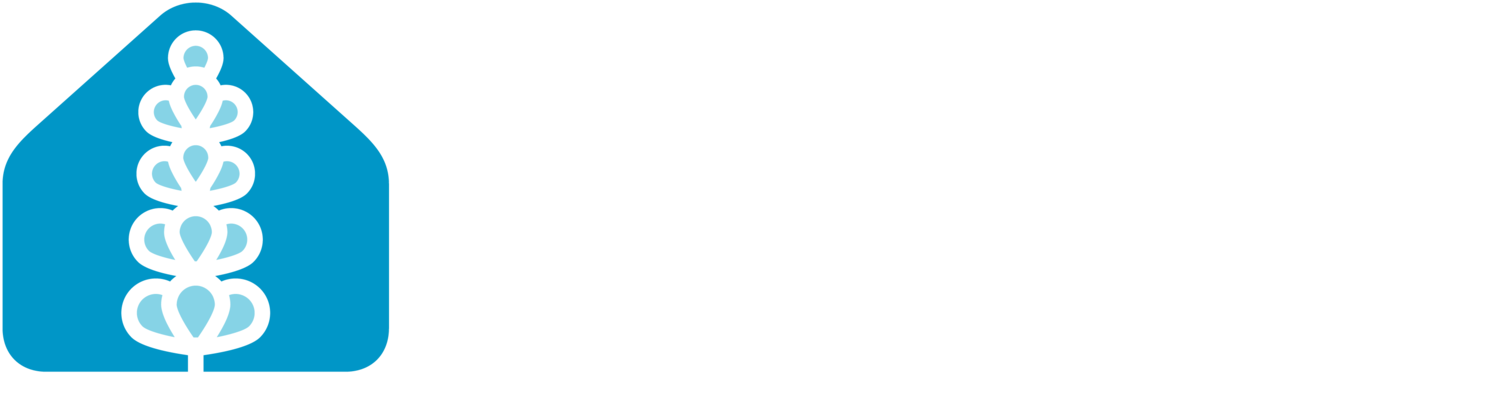 Lupin Developments