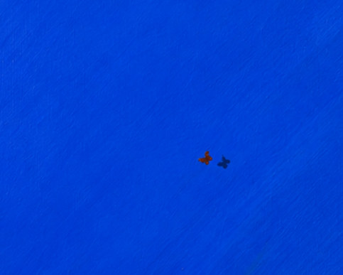 Phase+1_Isolation.png