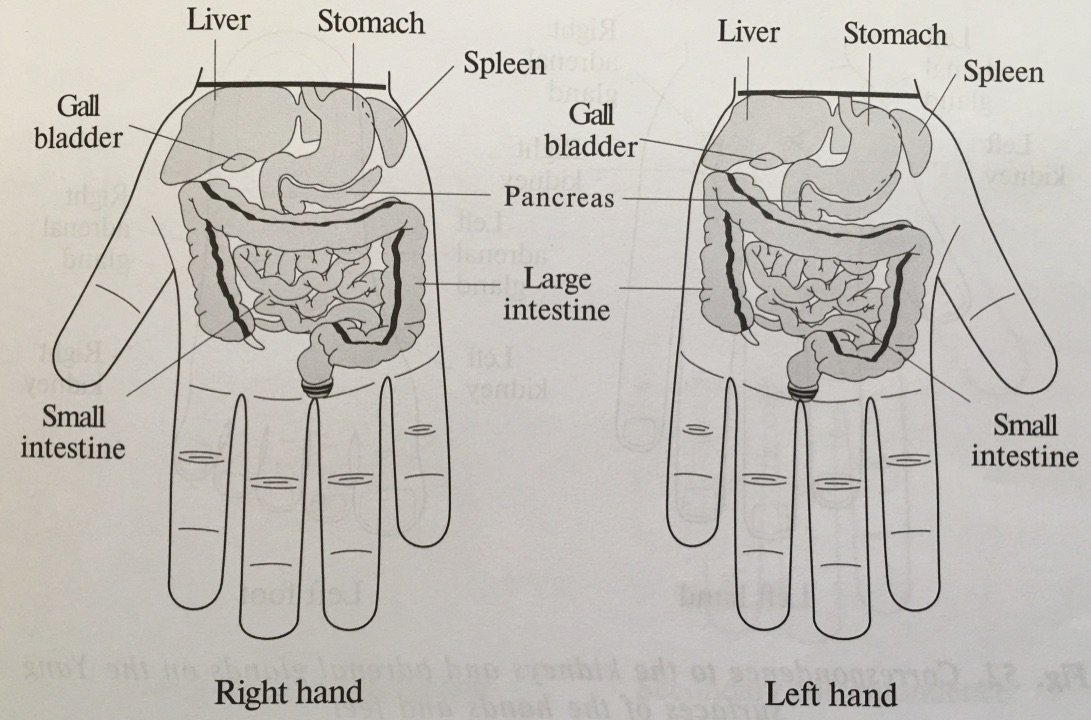 Hand Patch Therapy