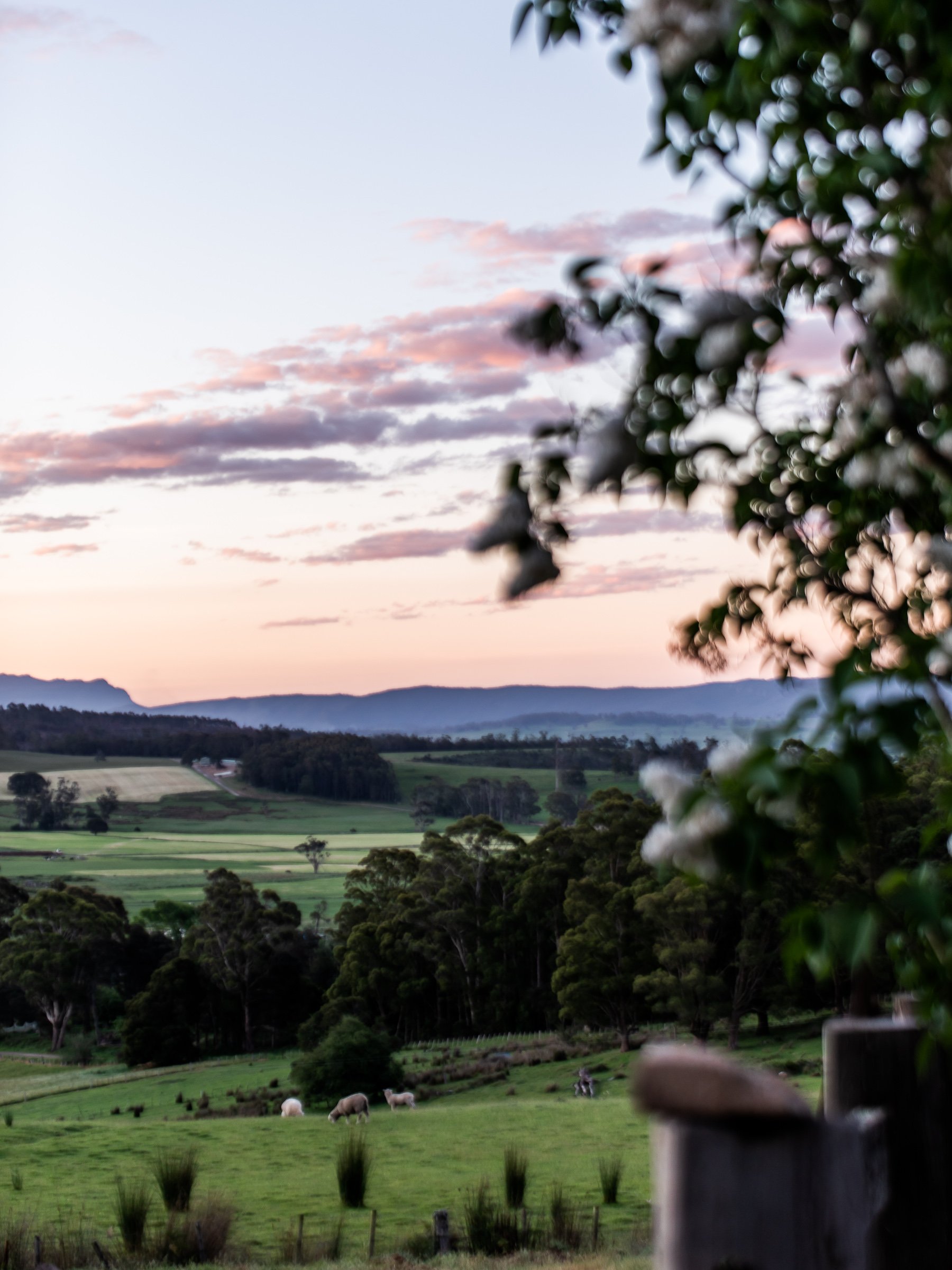 Sunset over the valley - Cedar Cottage Meander