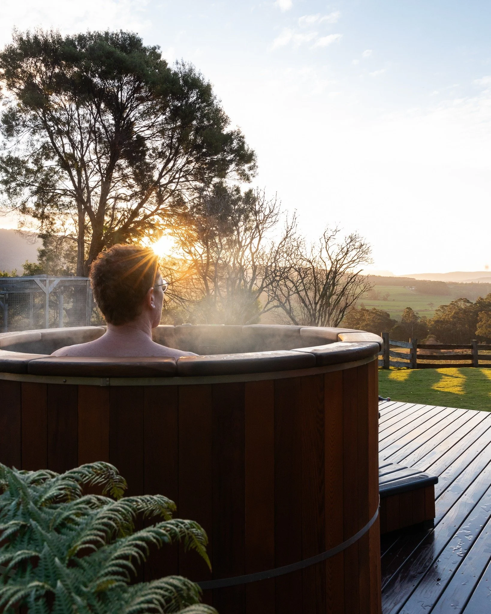 Spring, with her moss pile carpets, mellow light and gilded accoutrements of wattle, jonquil and daffodil, has arrived. 🌼

The westerly winds follow, whipping through the valley, tousling the messy mop tops of native trees and breathily kissing the 