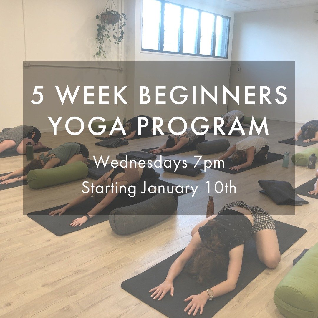 B E G I N N E R S  Y O G A

Have you been wanting to try yoga but nervous to join the public classes? 

This beginners program has been designed especially for beginners, to offer a slow, steady and solid foundation of the practise while also buildin