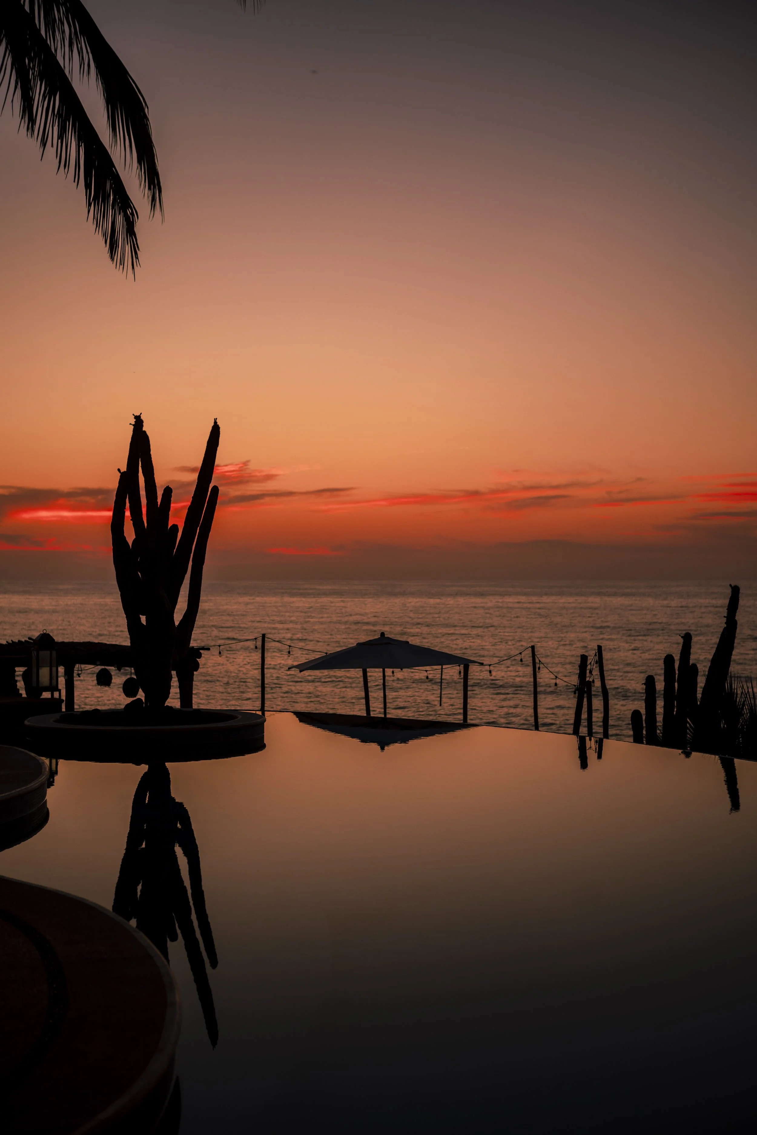 The Secret of Letting Go: Embracing Freedom and Inner Peace