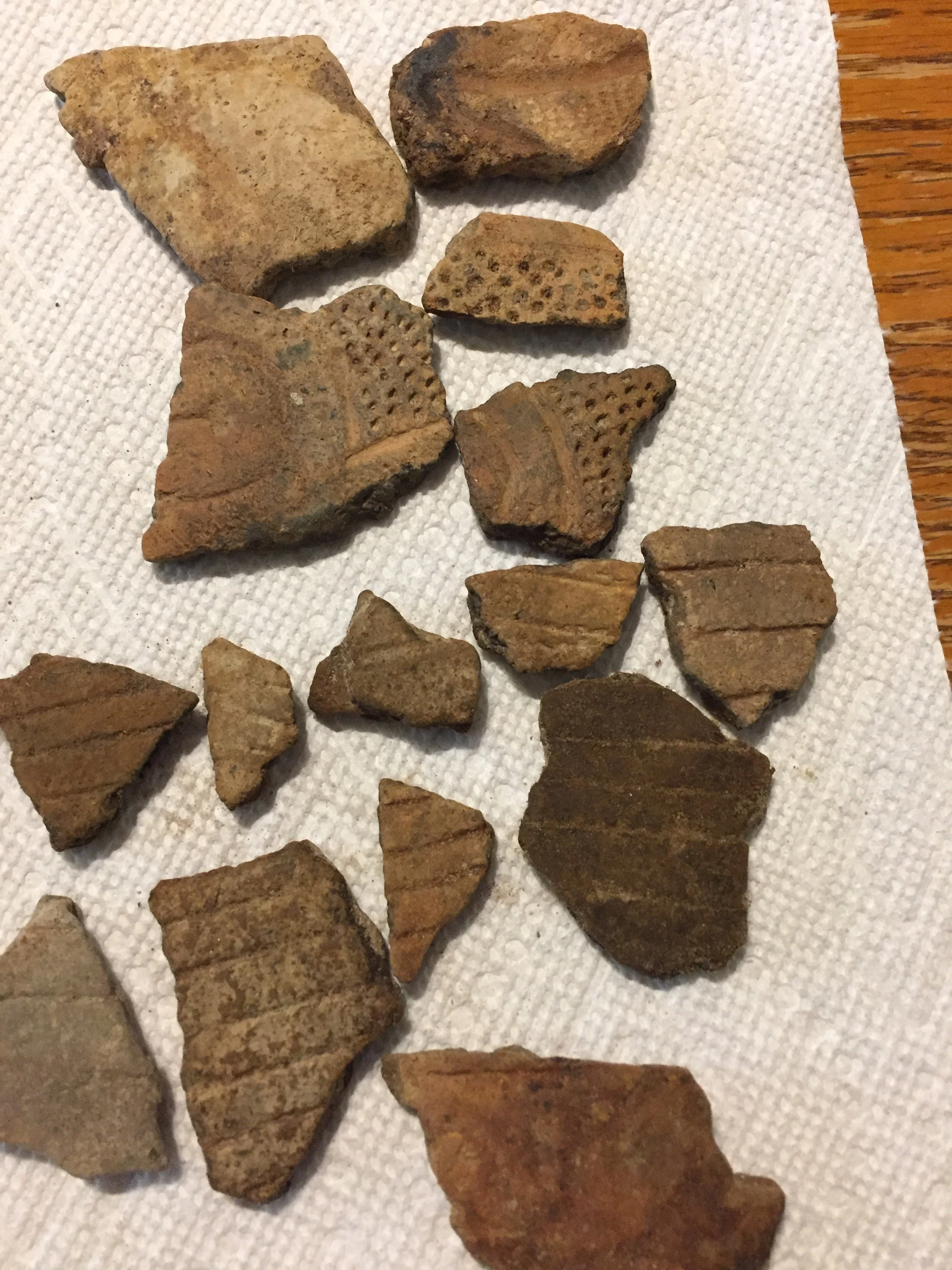 Tracing the History of Primitive Tribes through Pottery Shards: A Fascinating Archaeological Journey