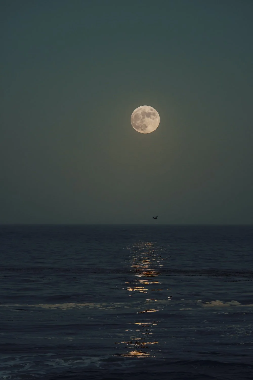 Harnessing the Power of Lunar Cycles: Motivating Introspective Self-Care