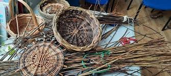 Willow Basket Making