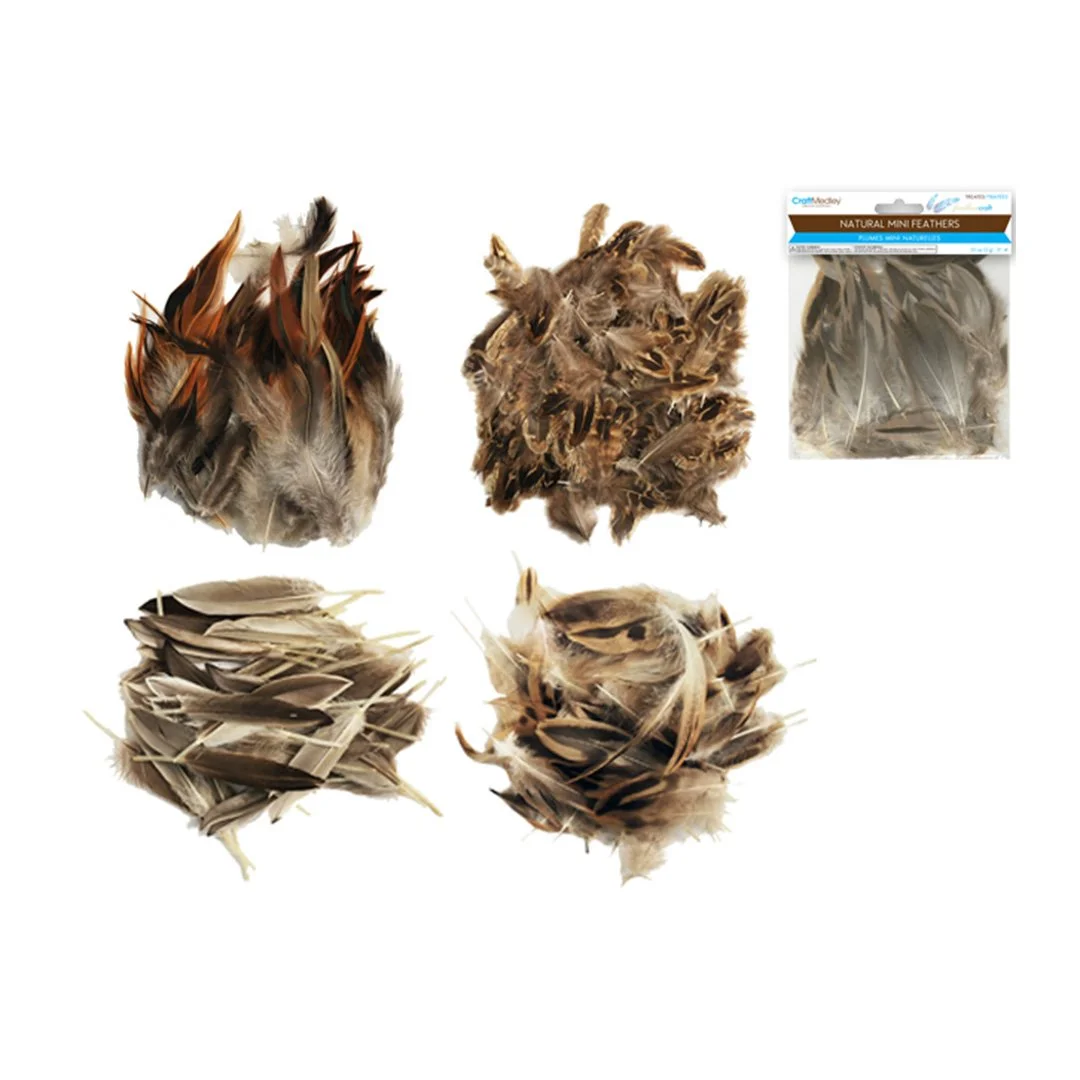 Feather Craft: Natural Minis