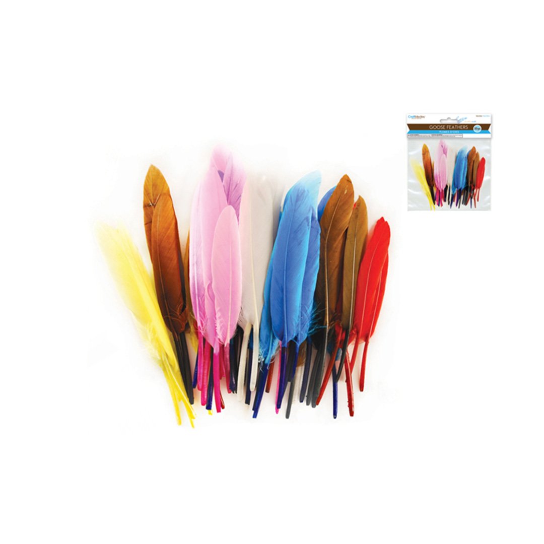 Feather Craft: Goose Feathers Multi Mix