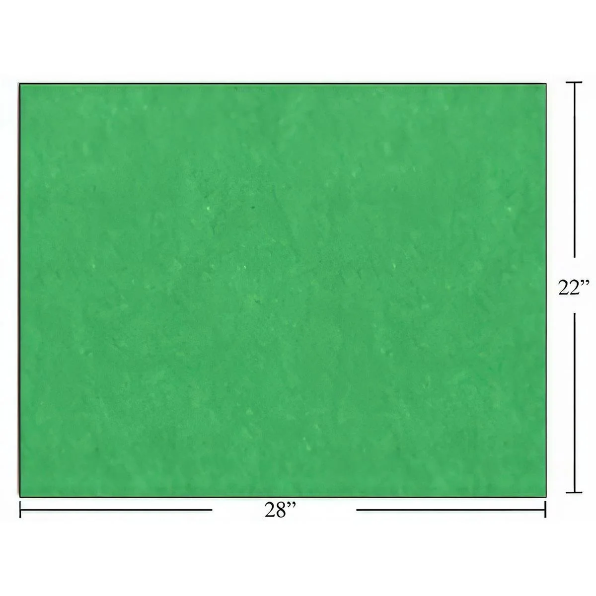 16669_2.jpg