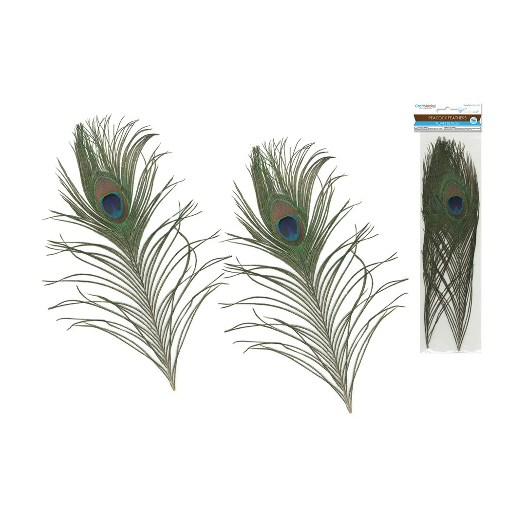 Feather Craft: 10"-12" Real Peacock Feathers 2pc