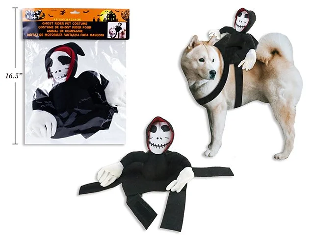 9-7/8inx 9in Hween Ghost Rider Pet Costume