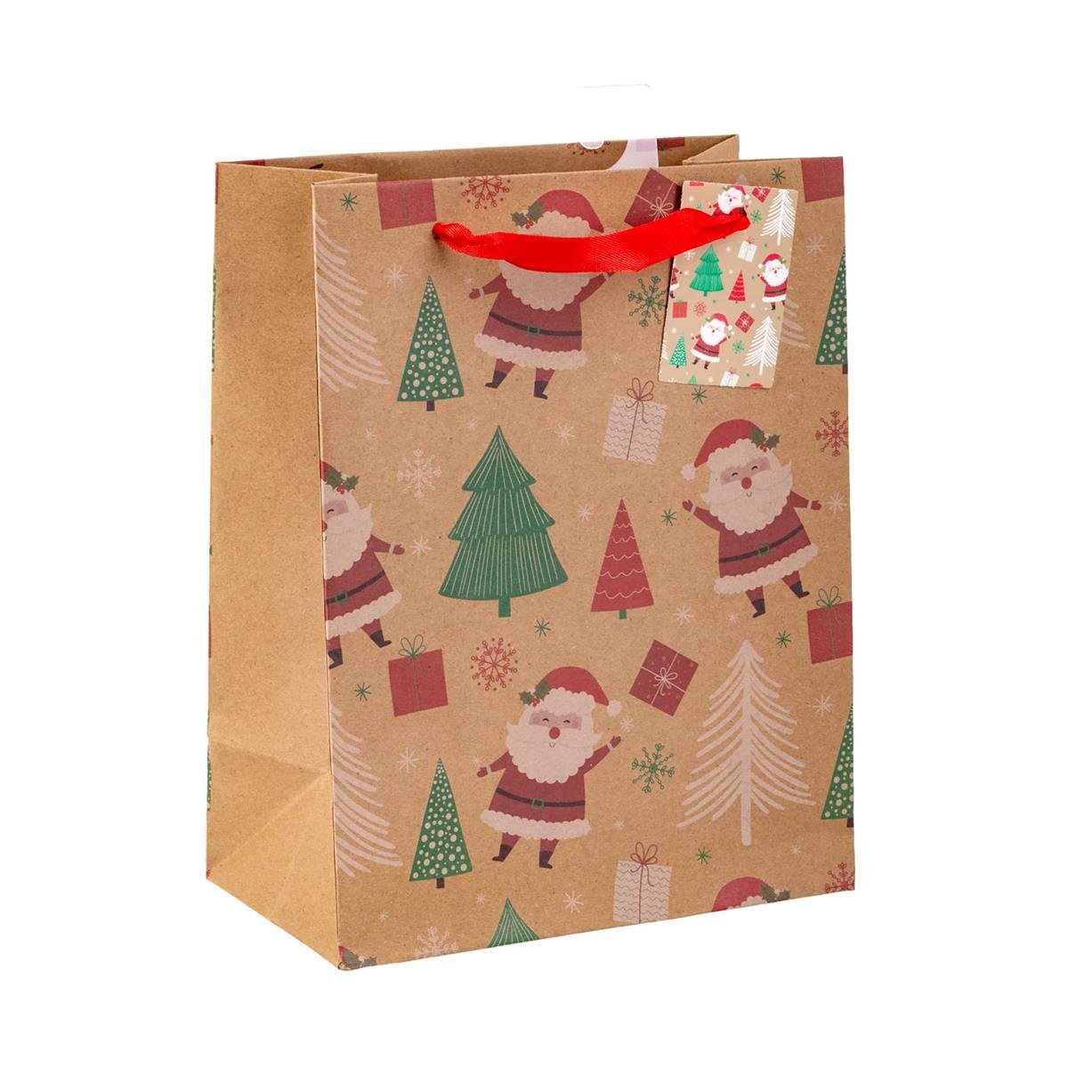 Paper Trendz Xmas Gift Bag