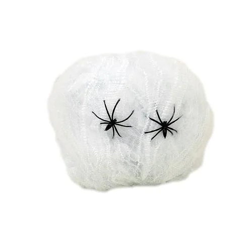 SPIDER’S WEB